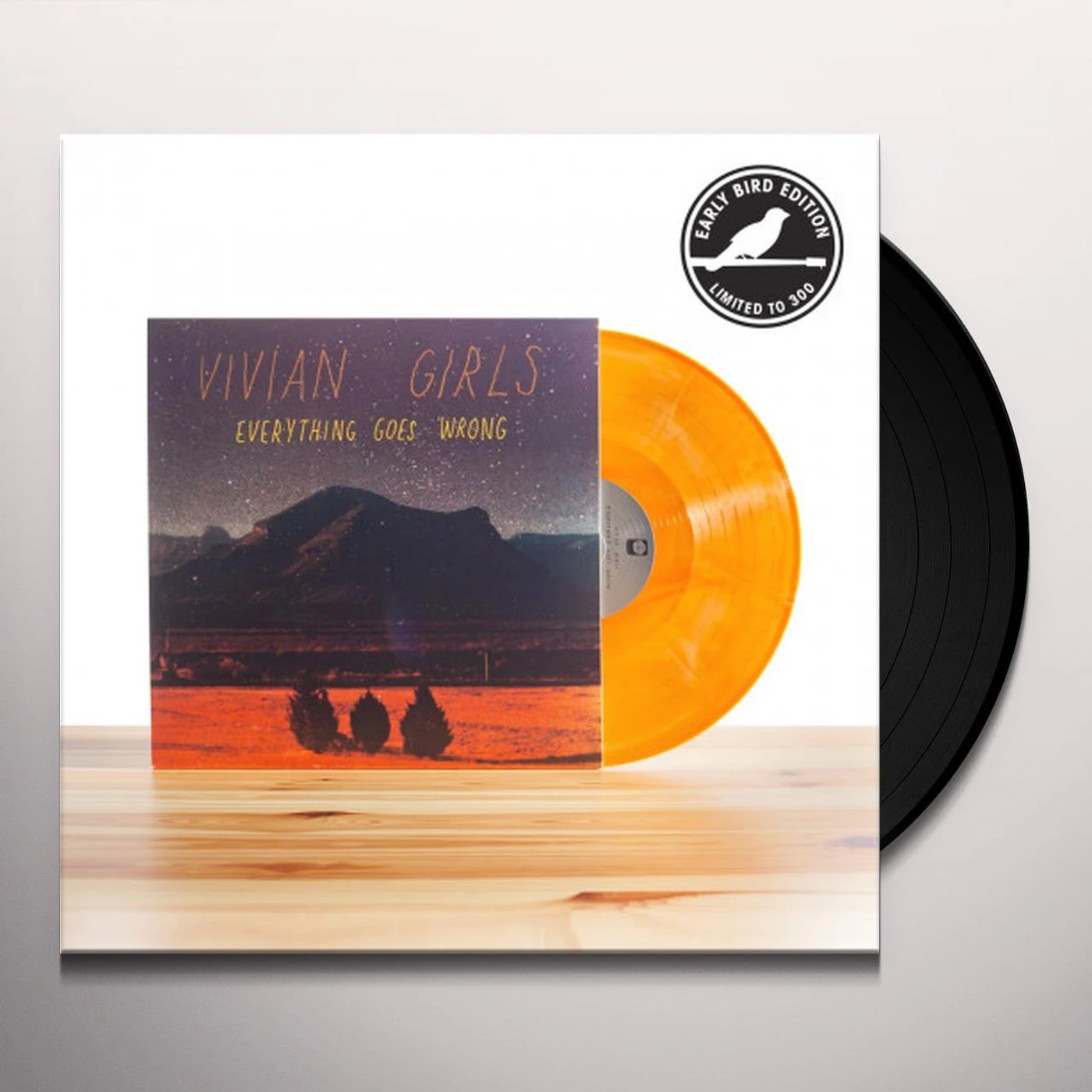 Vivian Girls Everything Goes Wrong (Test Pressing)
