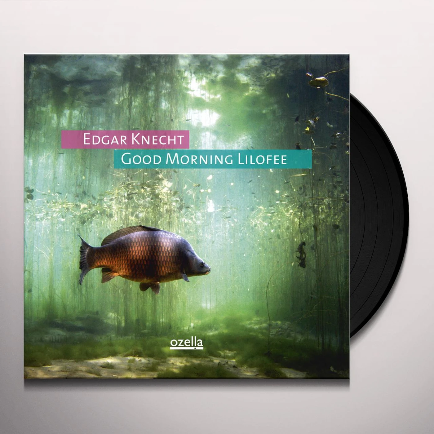 Edgar Knecht Good Morning Lilofee Vinyl Record
