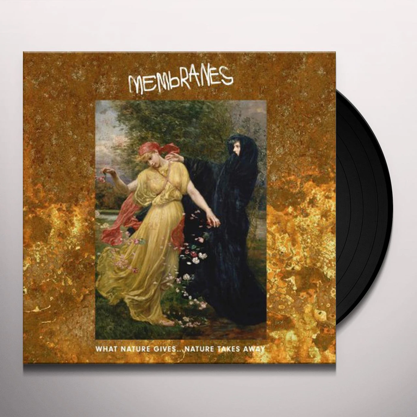 The Membranes What Nature Gives Nature Takes Away Vinyl Record