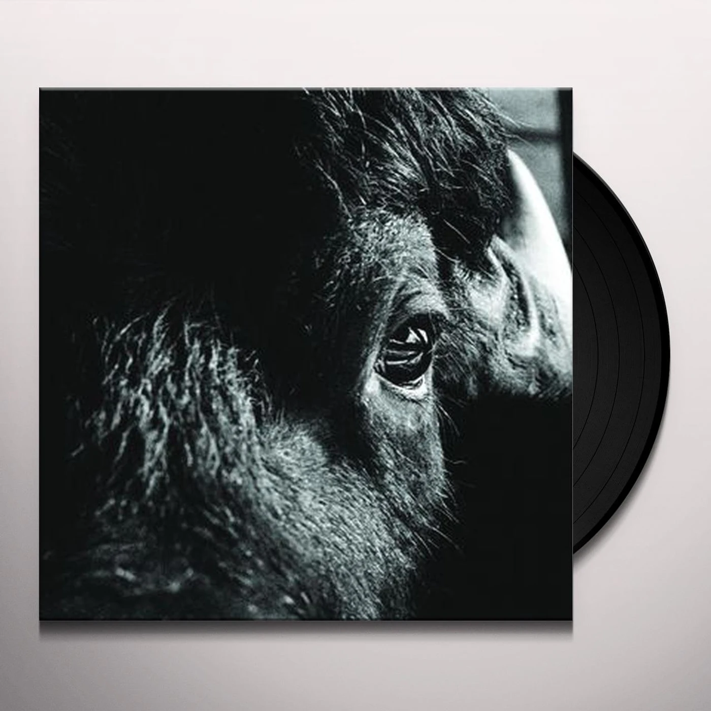 Killbody Tuning Pictorial Vinyl Record