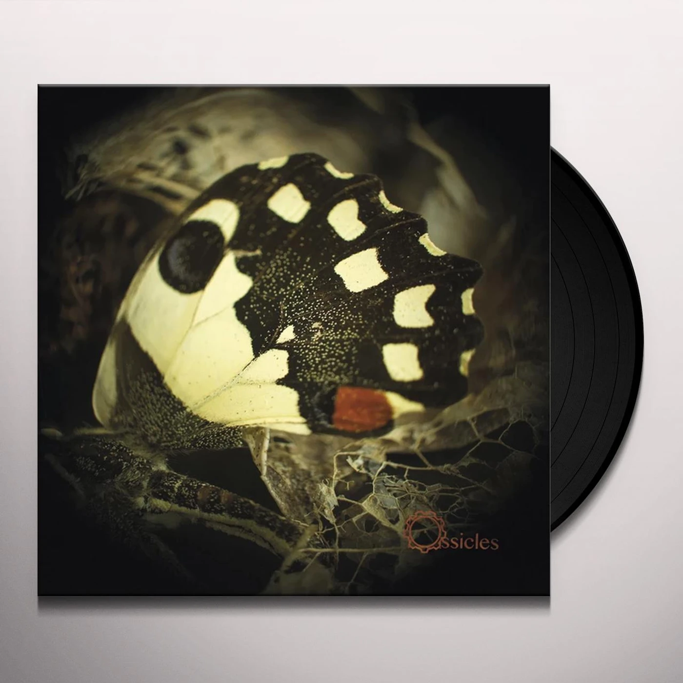 Ossicles Music for wastelands Vinyl Record