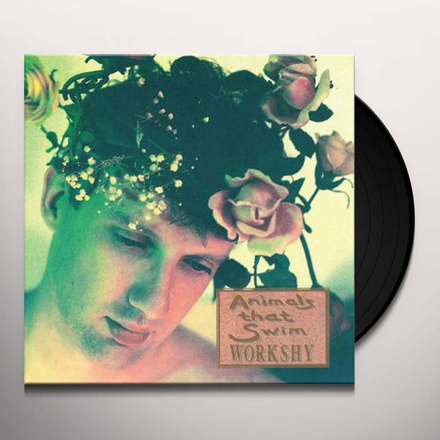 Animals That Swim Workshy Vinyl Record