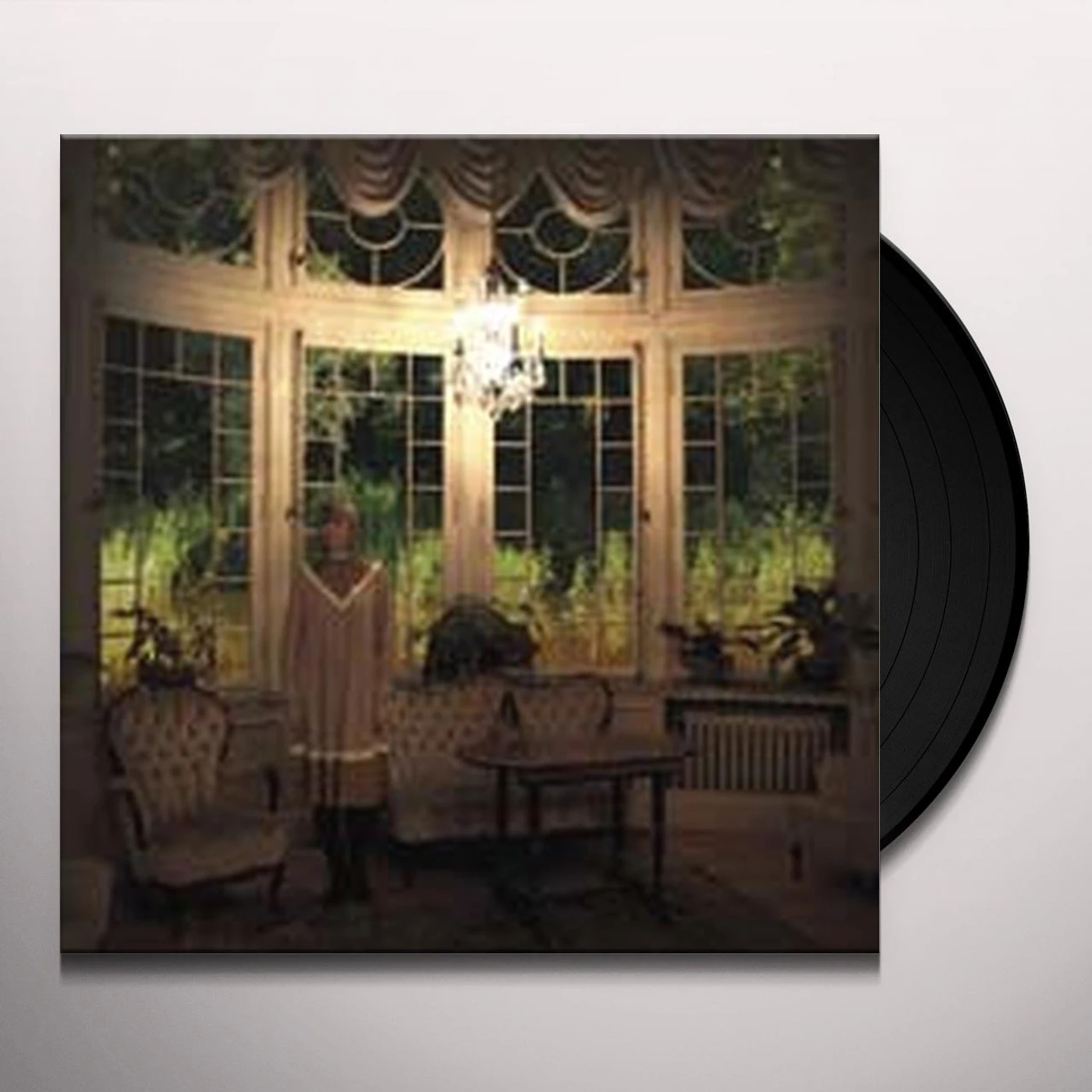 AnnaMy Woodpecker Vinyl Record