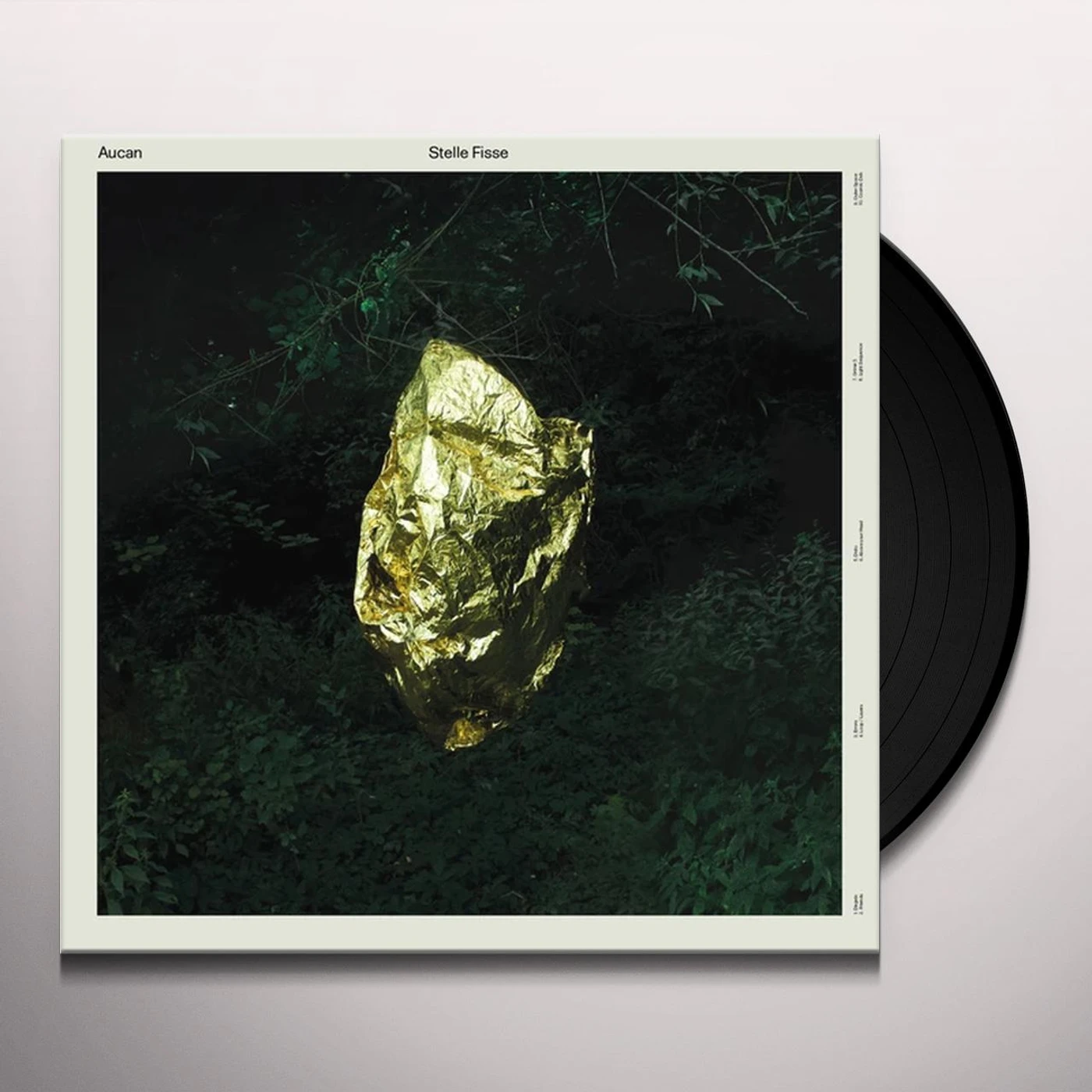 Aucan Stelle Fisse Vinyl Record