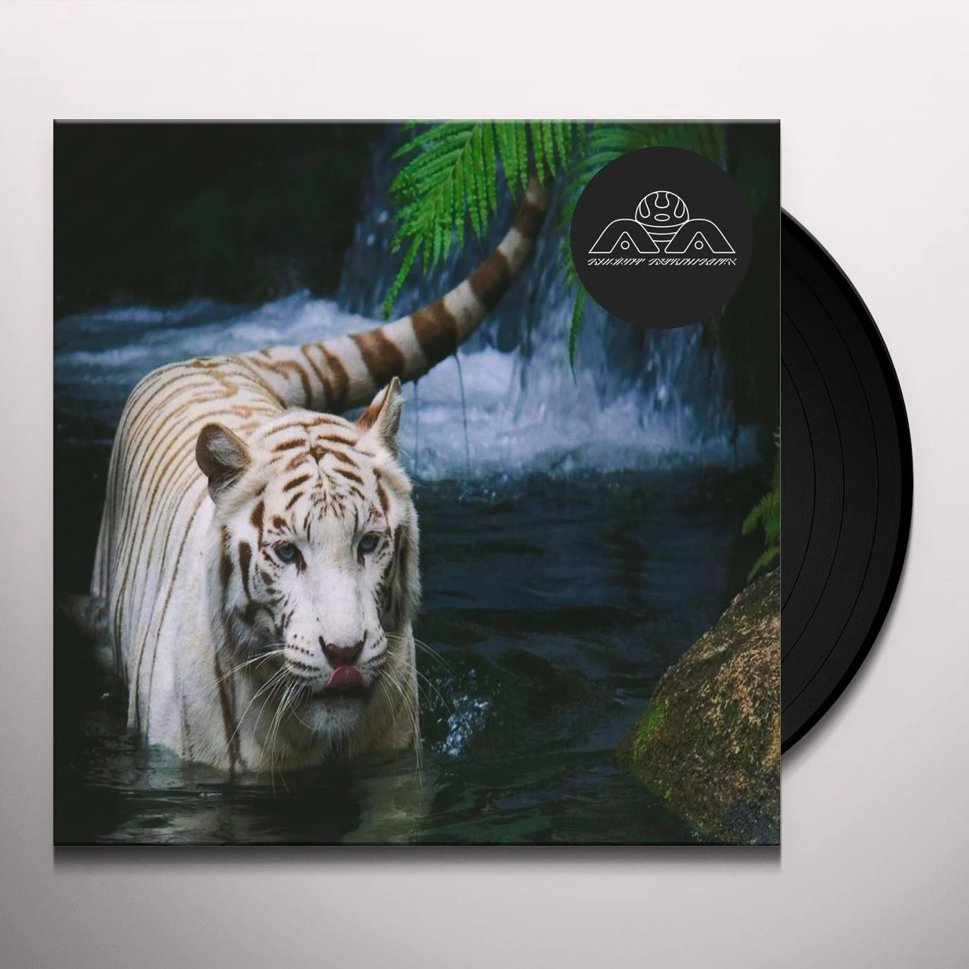 Lone Not seeing is a flower Vinyl Record