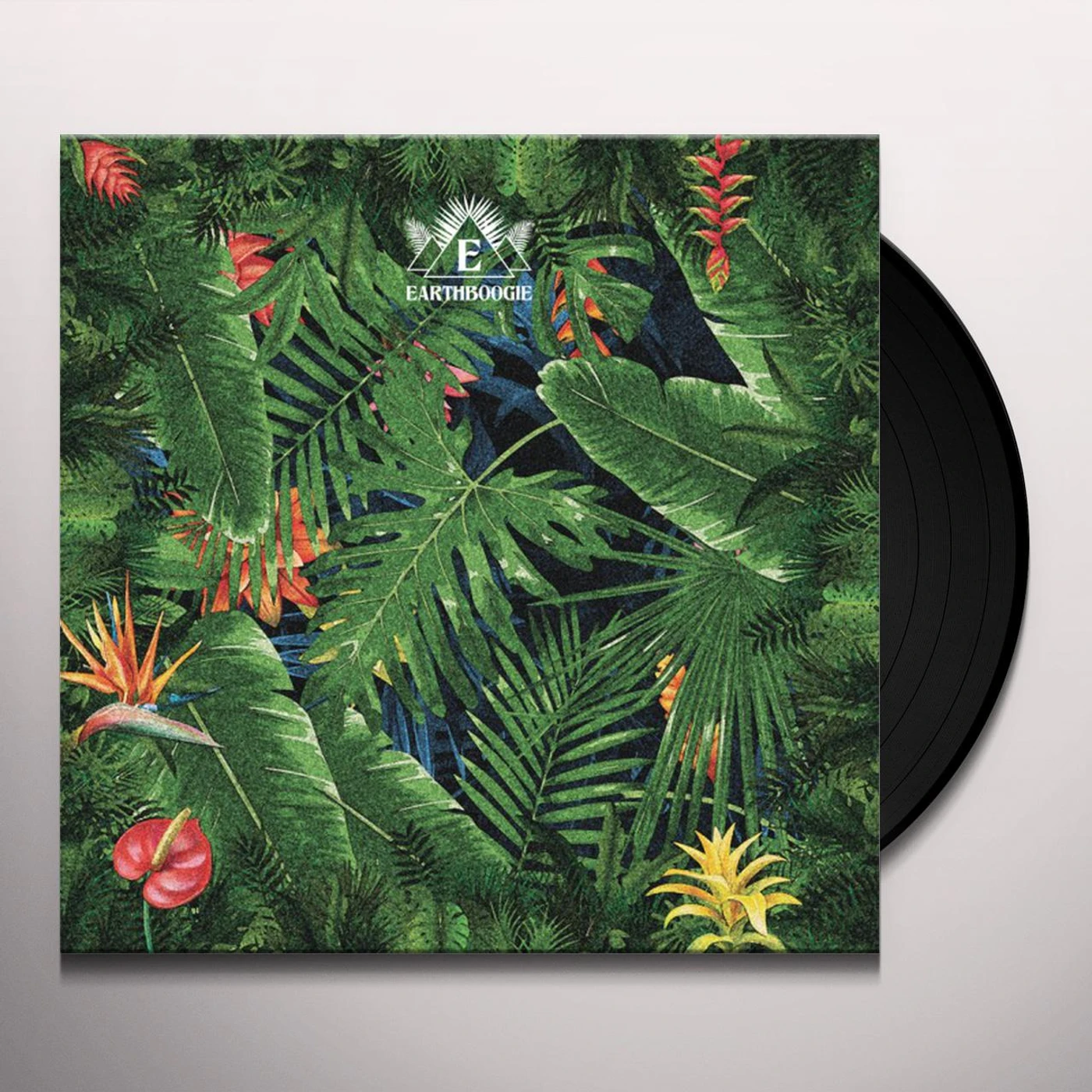 Earthboogie Human Call Vinyl Record