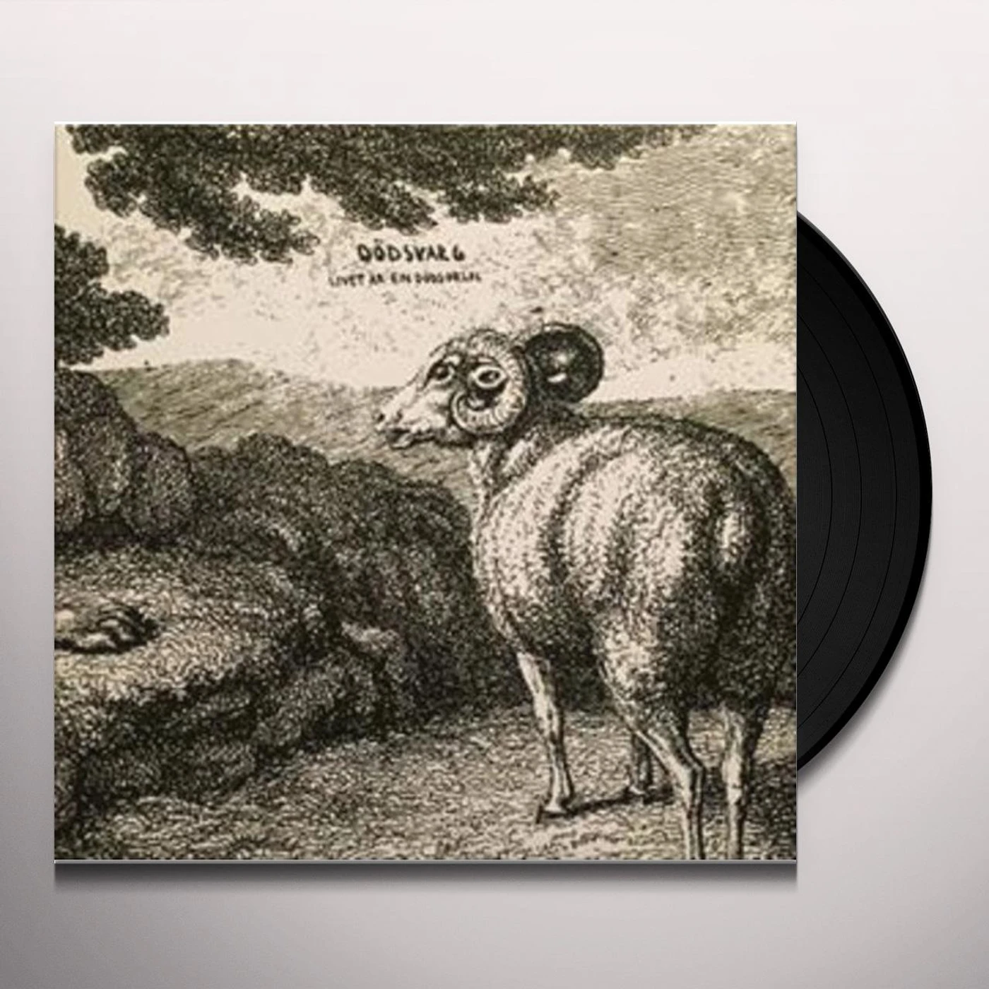 Dödsvarg Livet Ar En Dodsorsak Vinyl Record