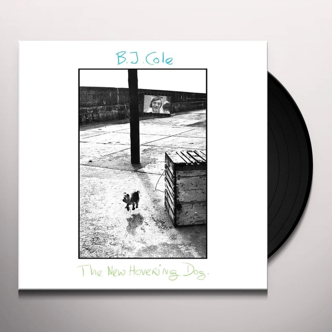 BJ Cole New Hovering Dog Vinyl Record