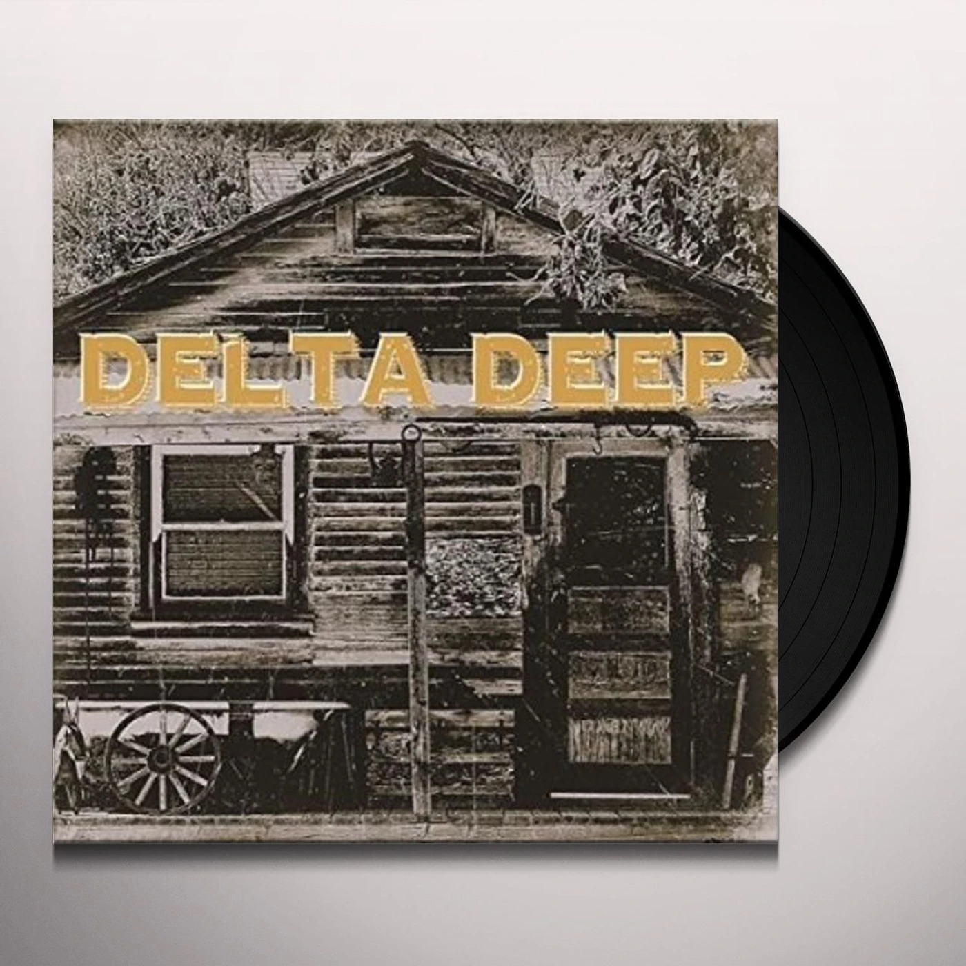 Delta Deep Vinyl Record