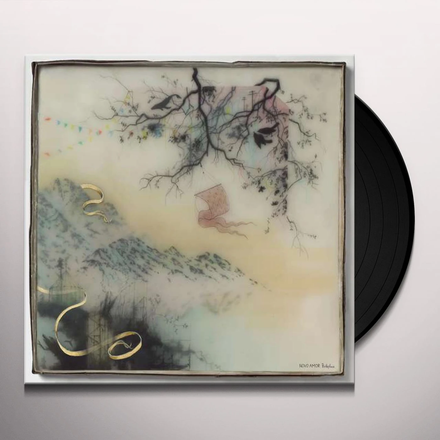Novo Amor Birthplace Vinyl Record