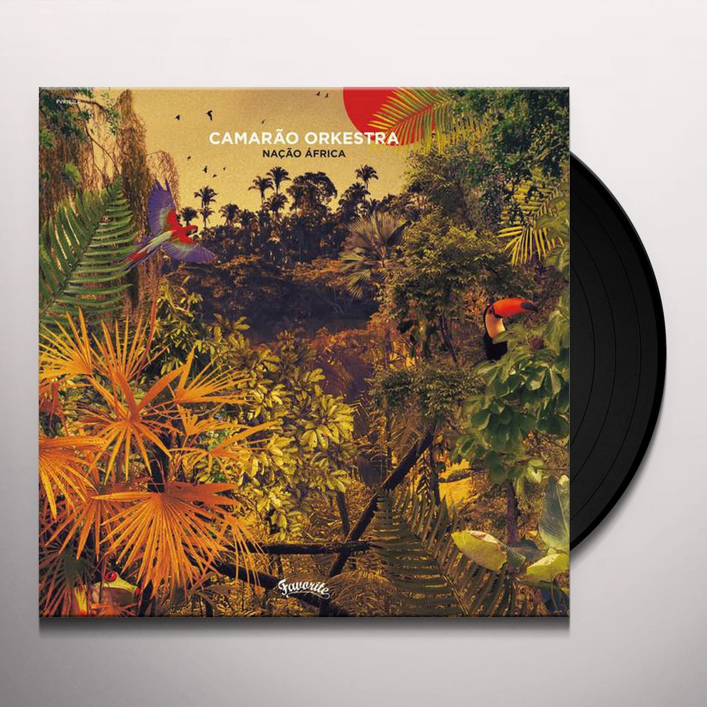 Camarão Orkestra Nacao Africa Vinyl Record