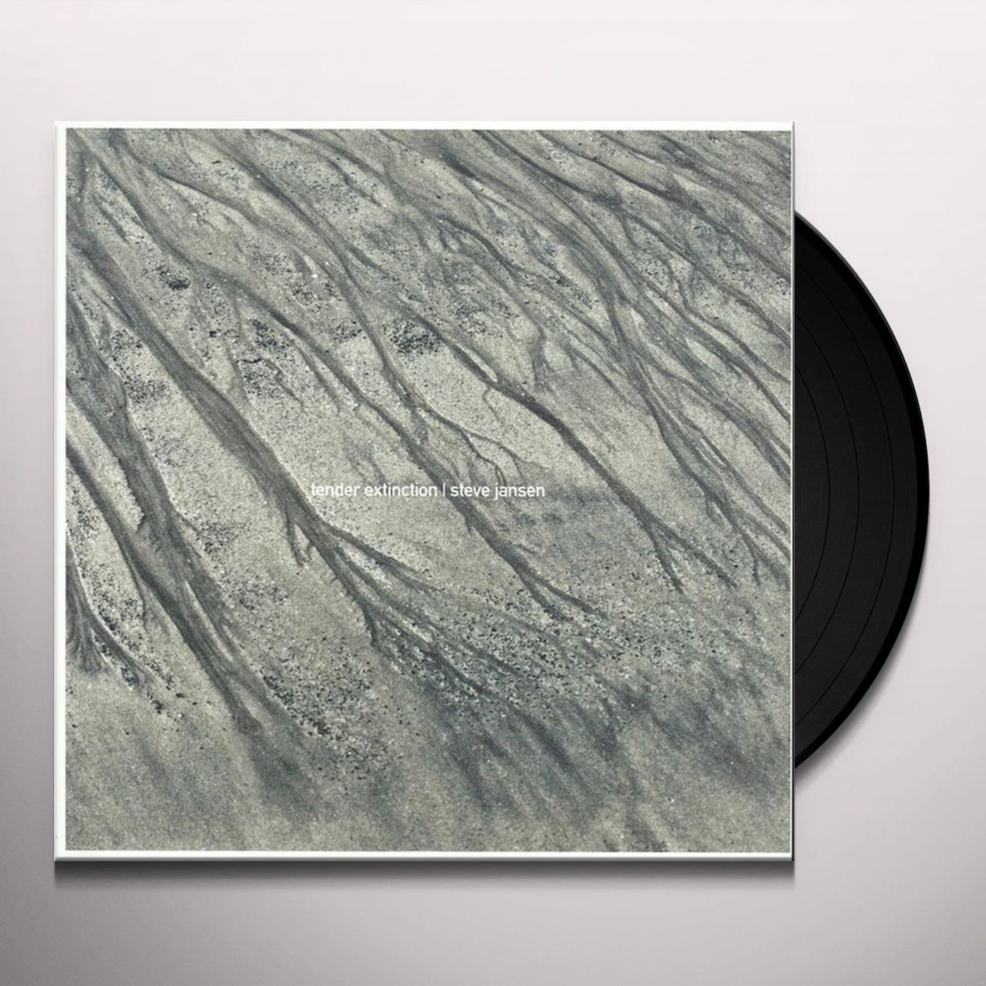 Steve Jansen Tender Extinction Vinyl Record