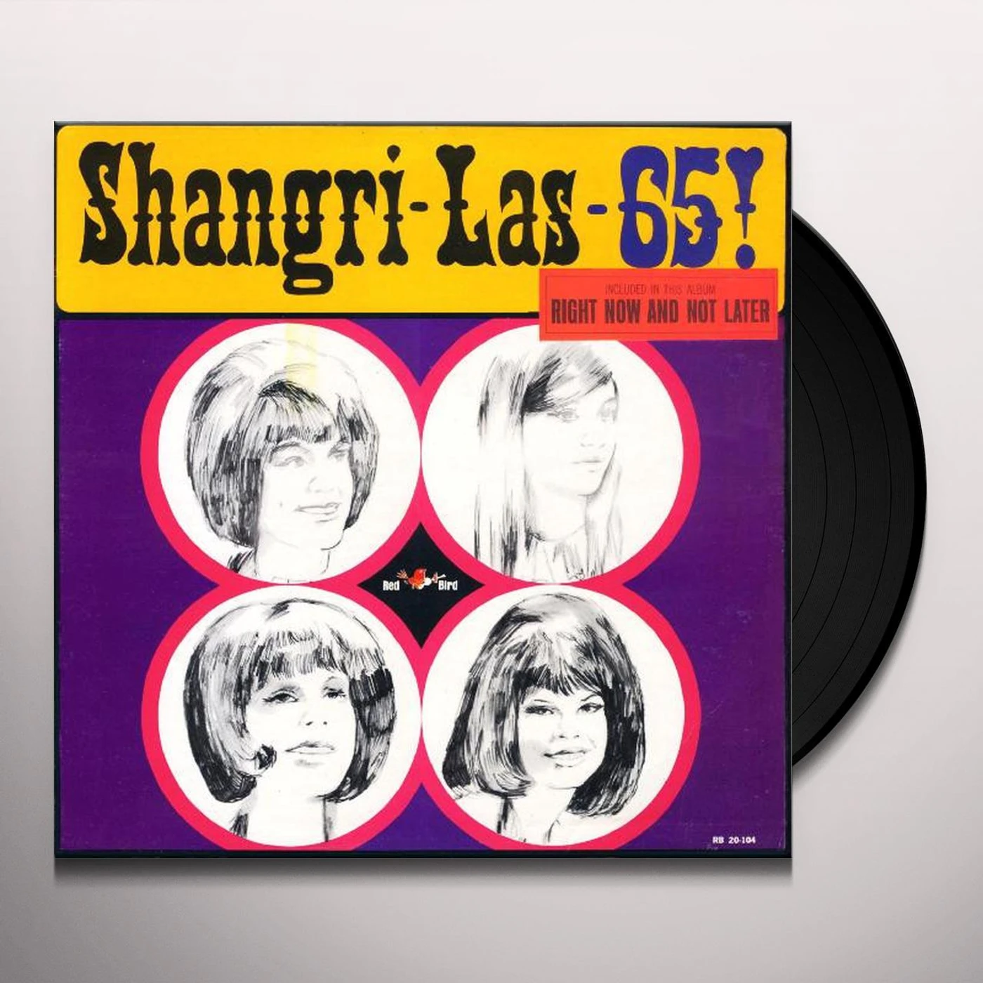 The Shangri-Las 65! Vinyl Record