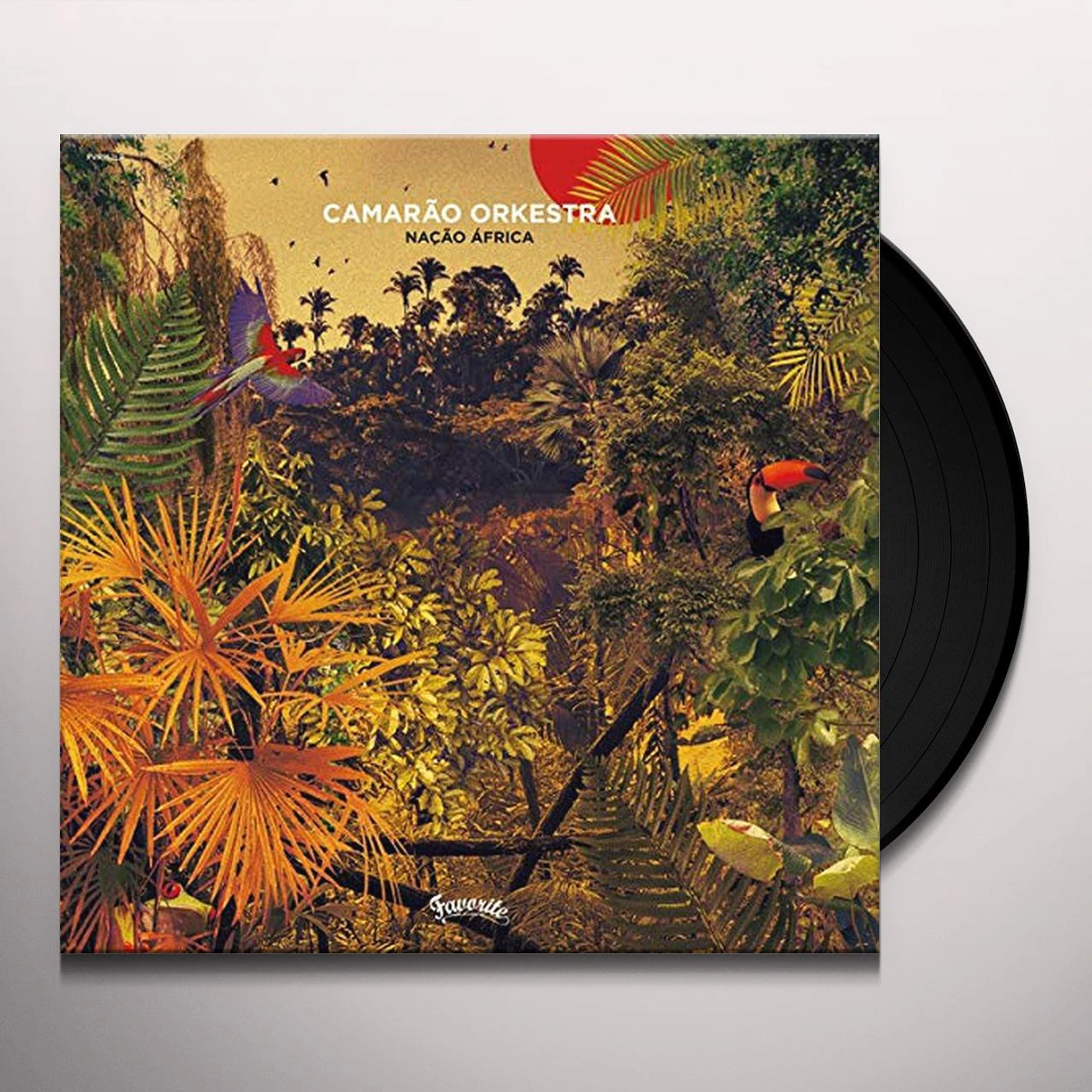 Camarão Orkestra Nacao Africa Vinyl Record