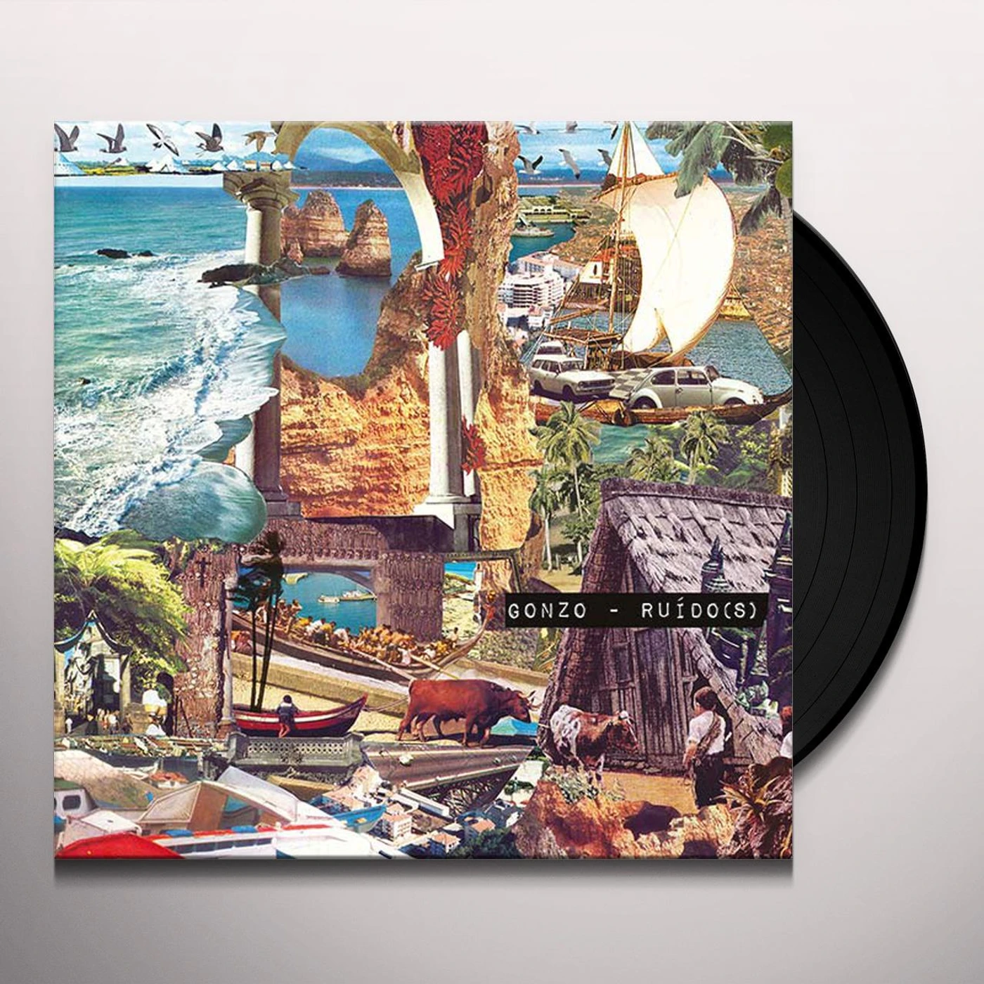 Gonzo Ruido(s) Vinyl Record