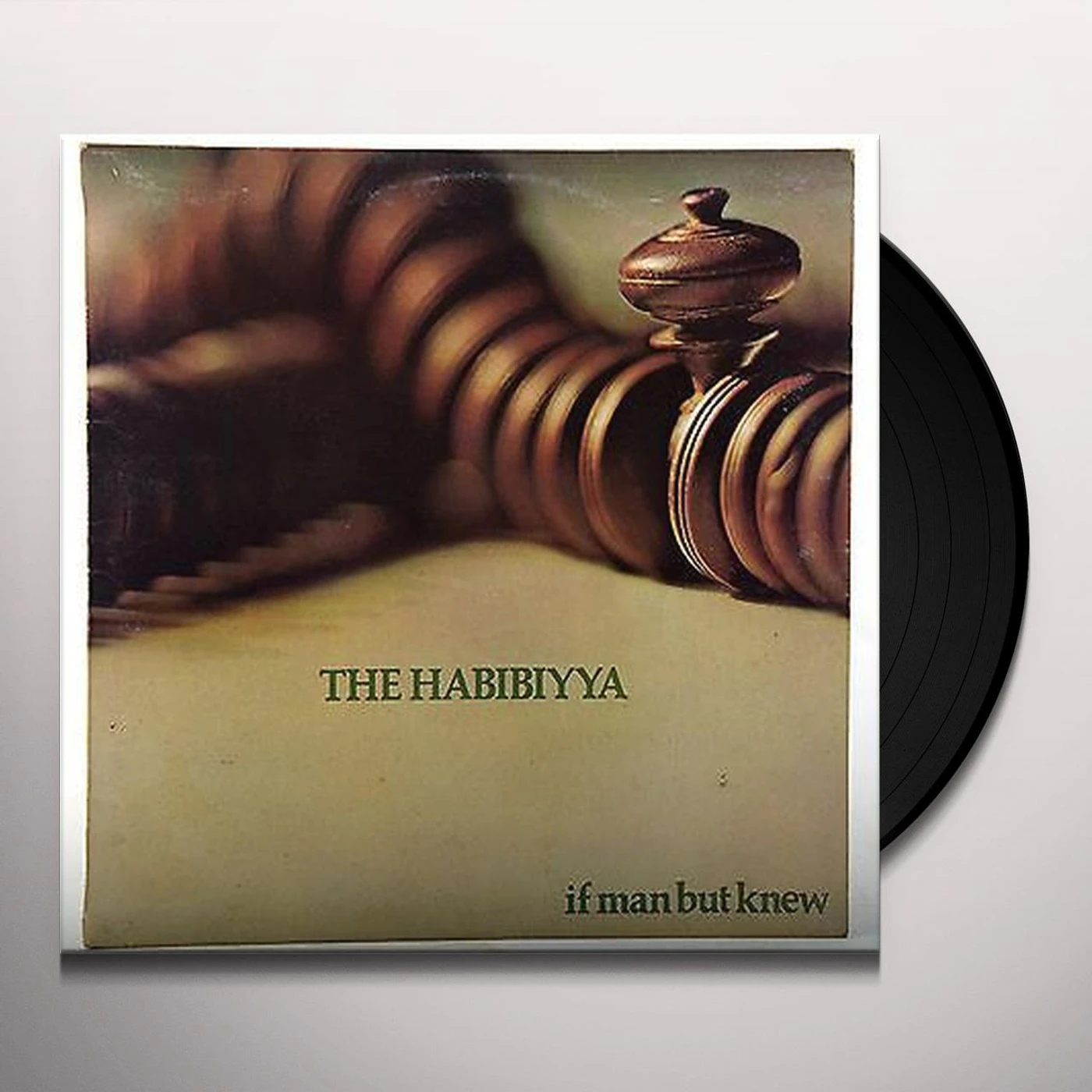 The Habibiyya IF MAN BUT KNEW Vinyl Record