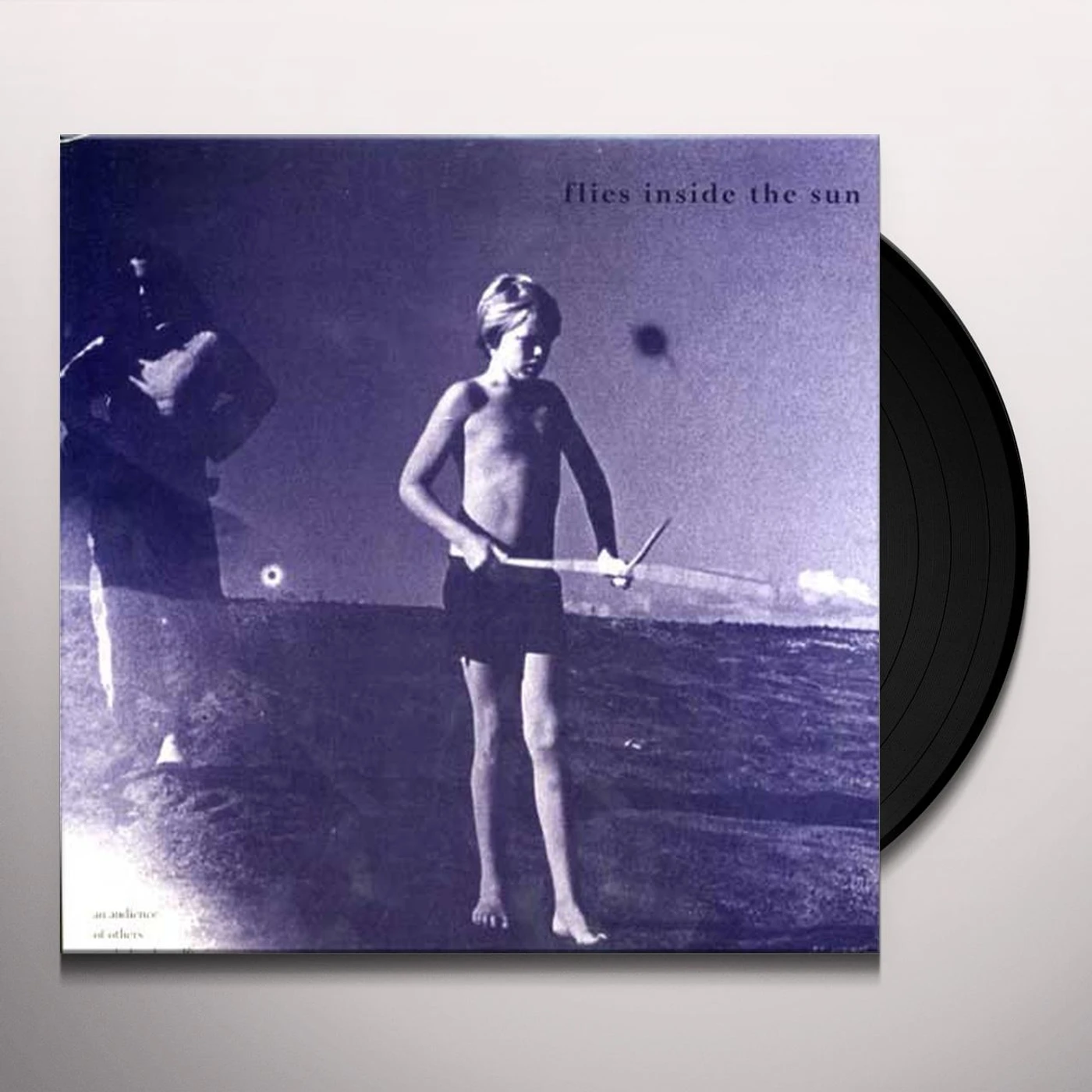 Flies Inside The Sun AN AUDIENCE OF OTHERS Vinyl Record