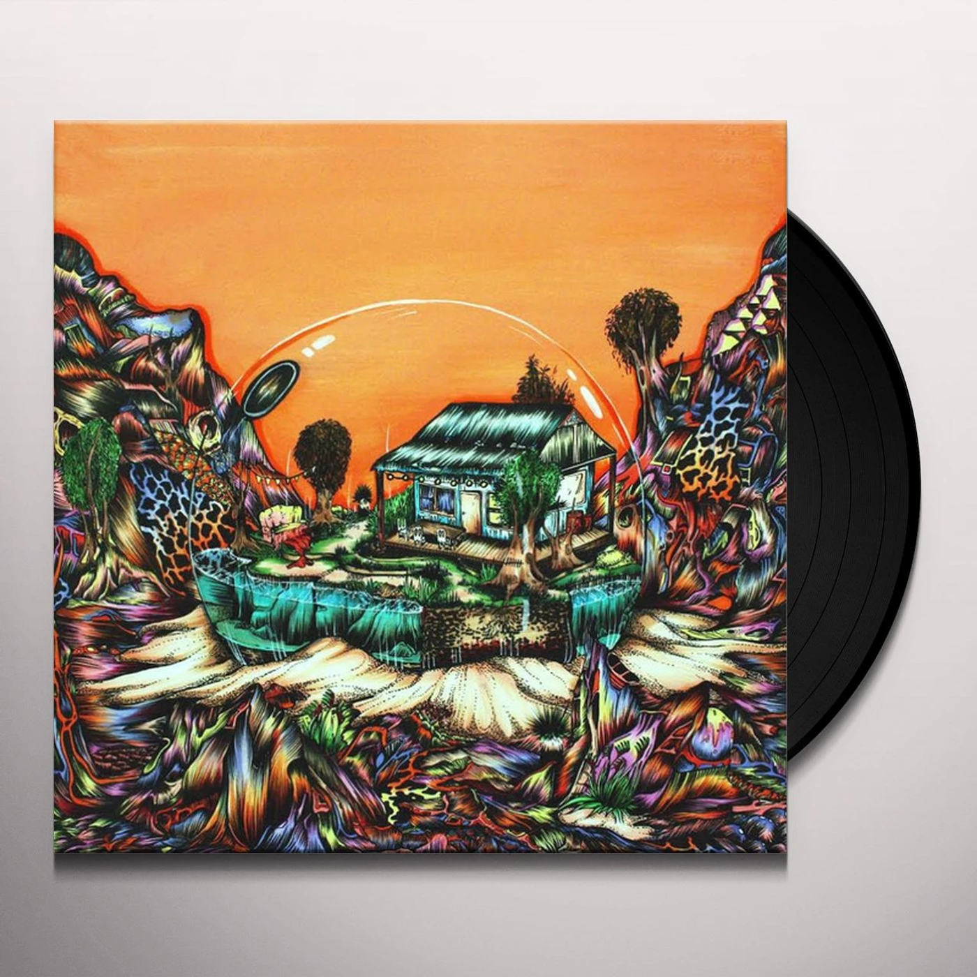 Koi Child Vinyl Record