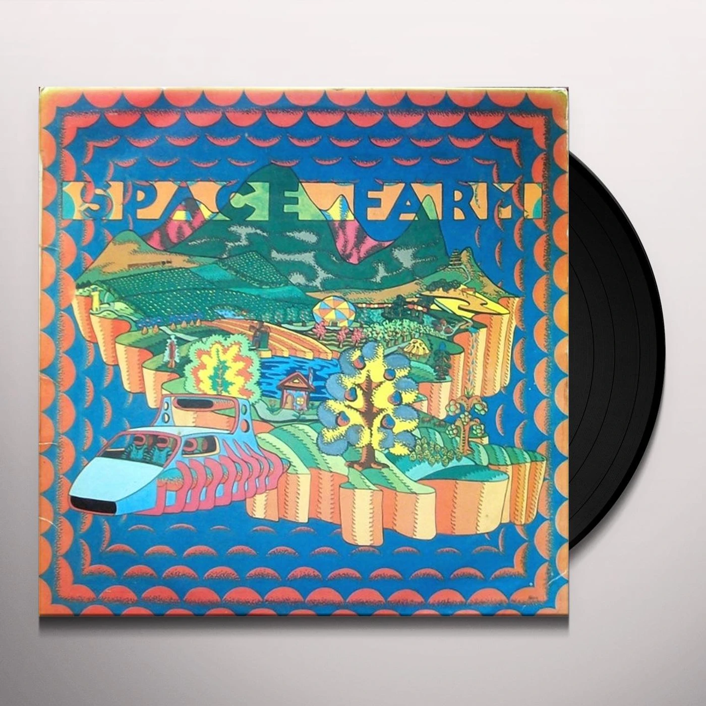 Space Farm Vinyl Record