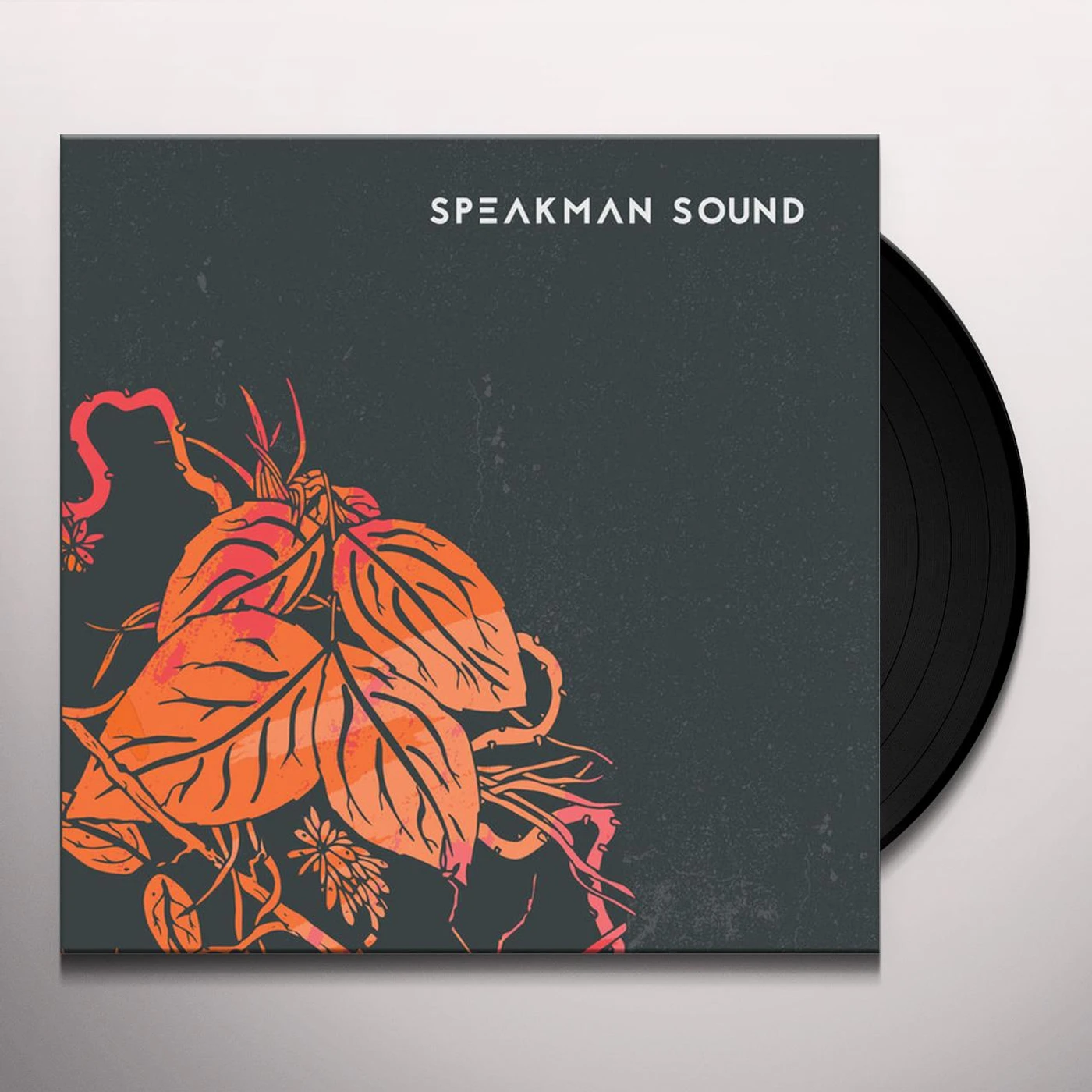 Speakman Sound Warm Vinyl Record