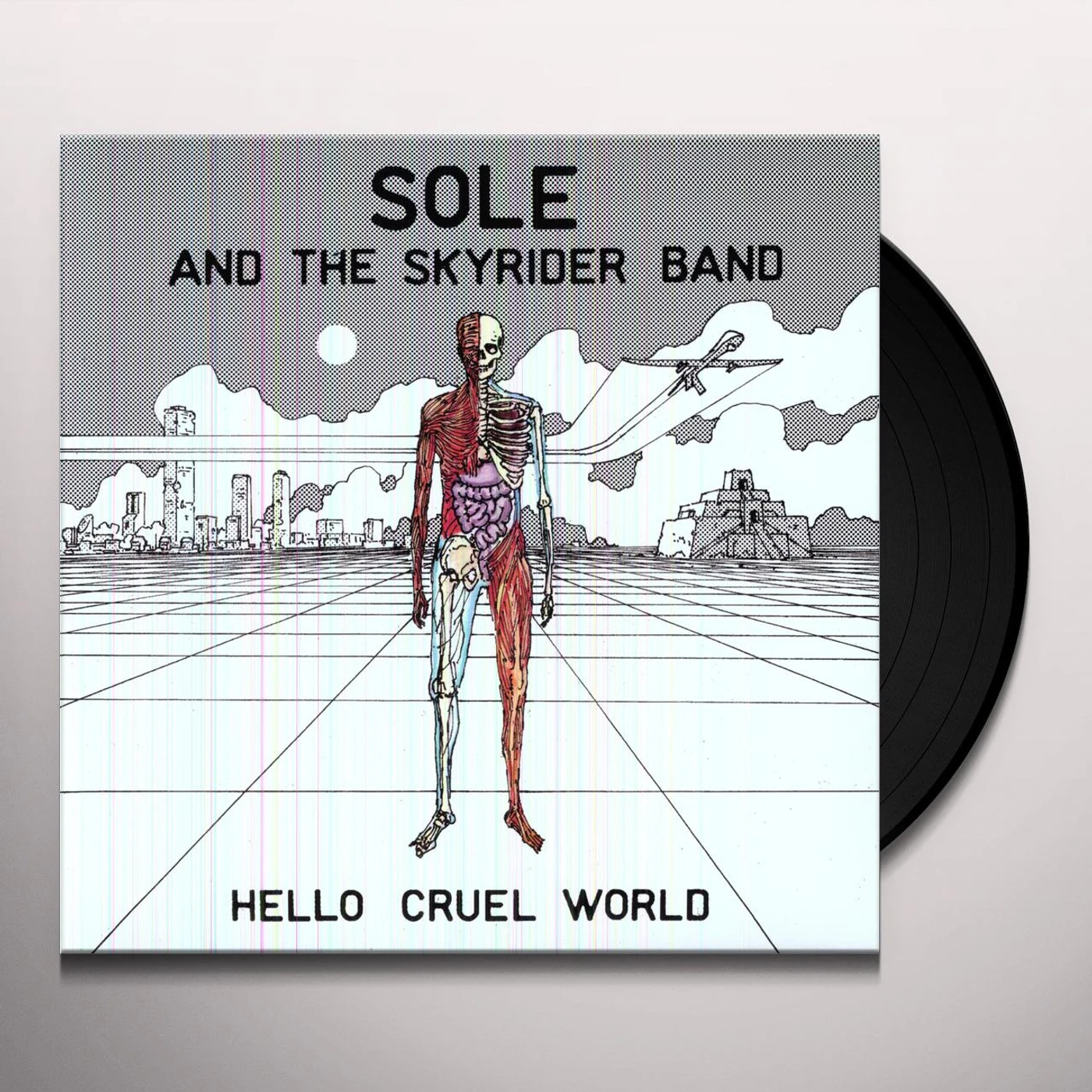 Sole & The Skyrider Band Hello Cruel World Vinyl Record
