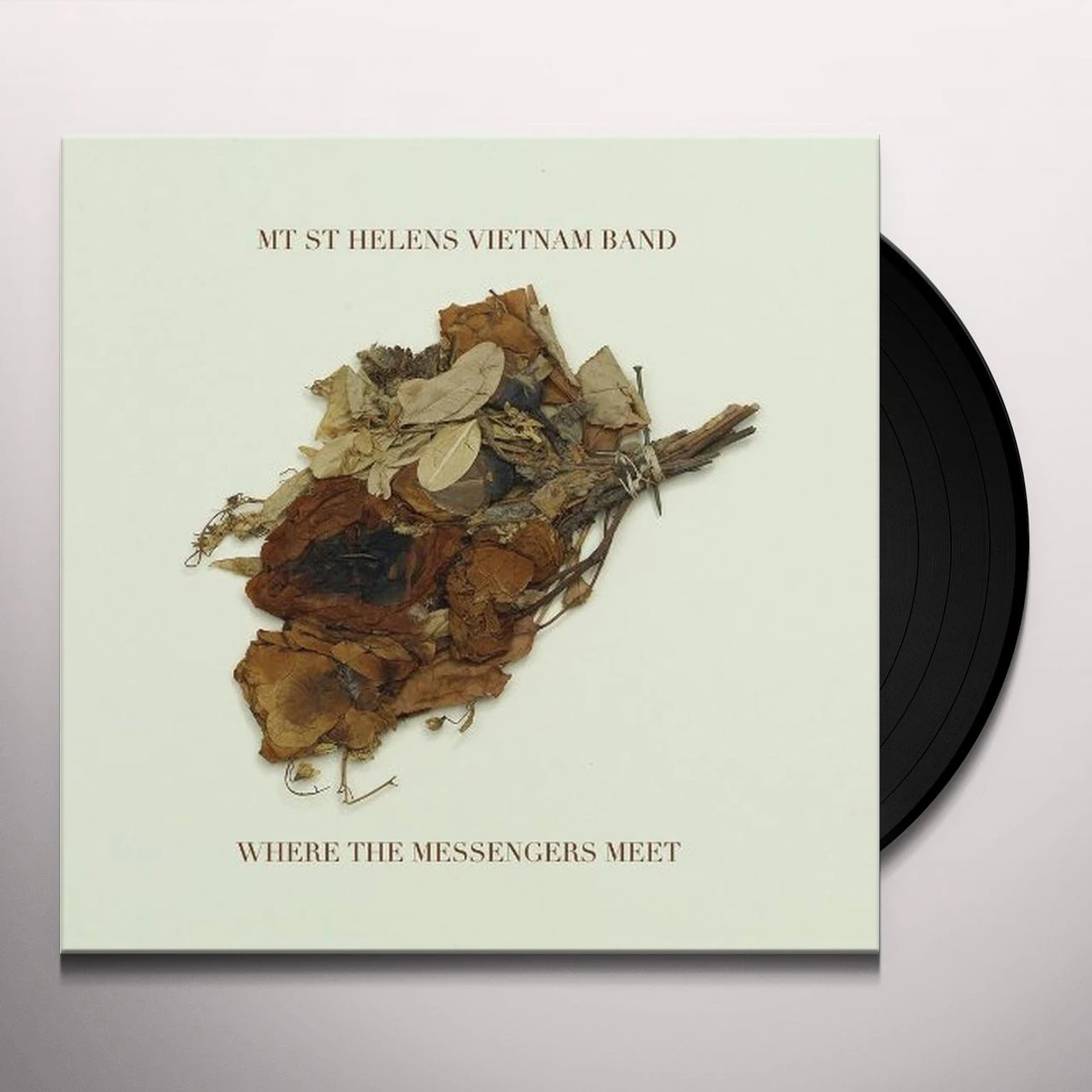 Mt. St. Helens Vietnam Band Where The Messengers Meet Vinyl Record