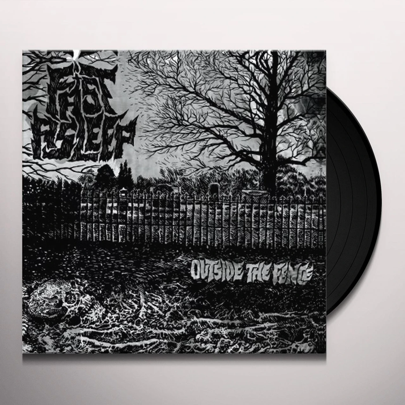 Fast Asleep Outside the Fence Vinyl Record