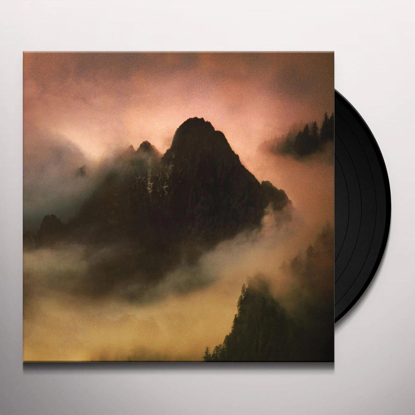Dead To A Dying World Elegy Vinyl Record