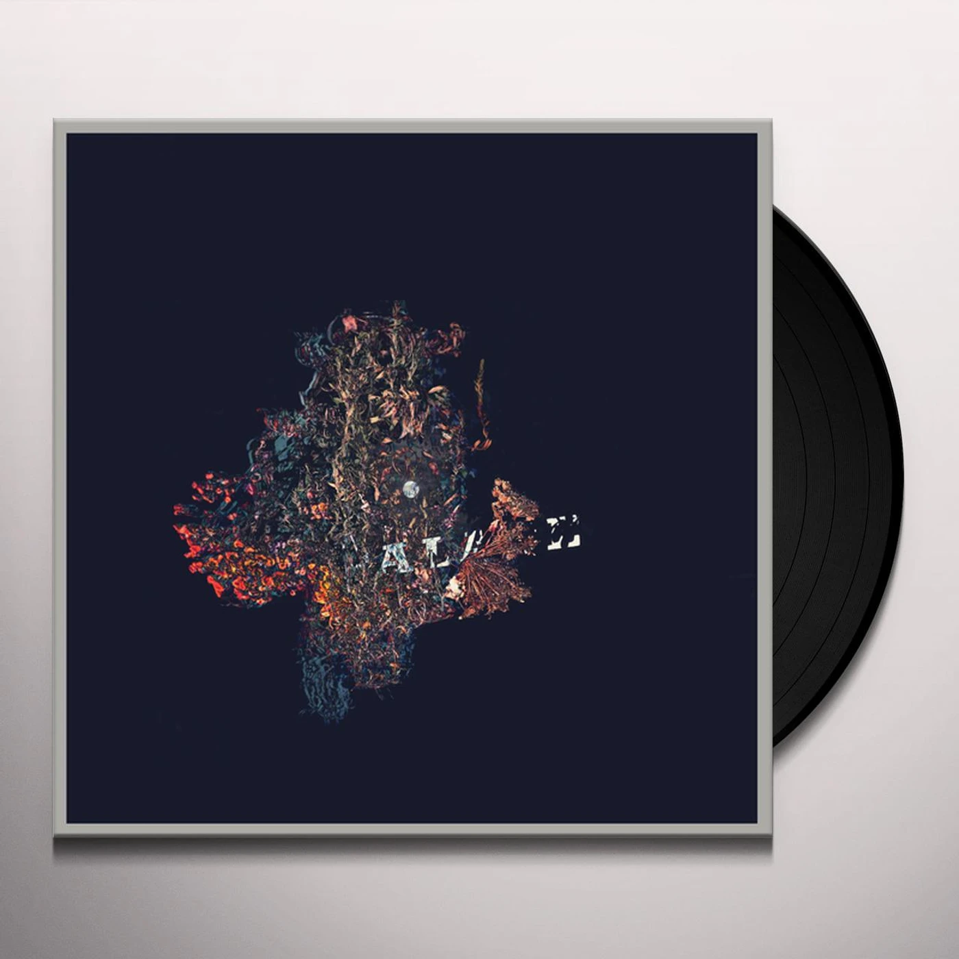B/B/S/ Palace Vinyl Record
