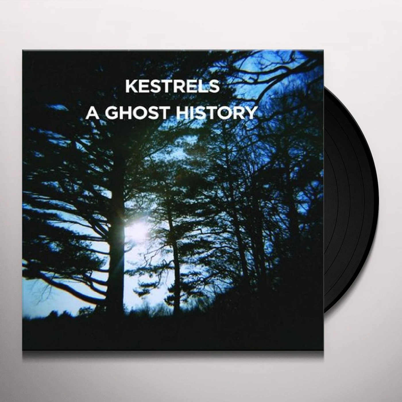 Kestrels A ghost history Vinyl Record