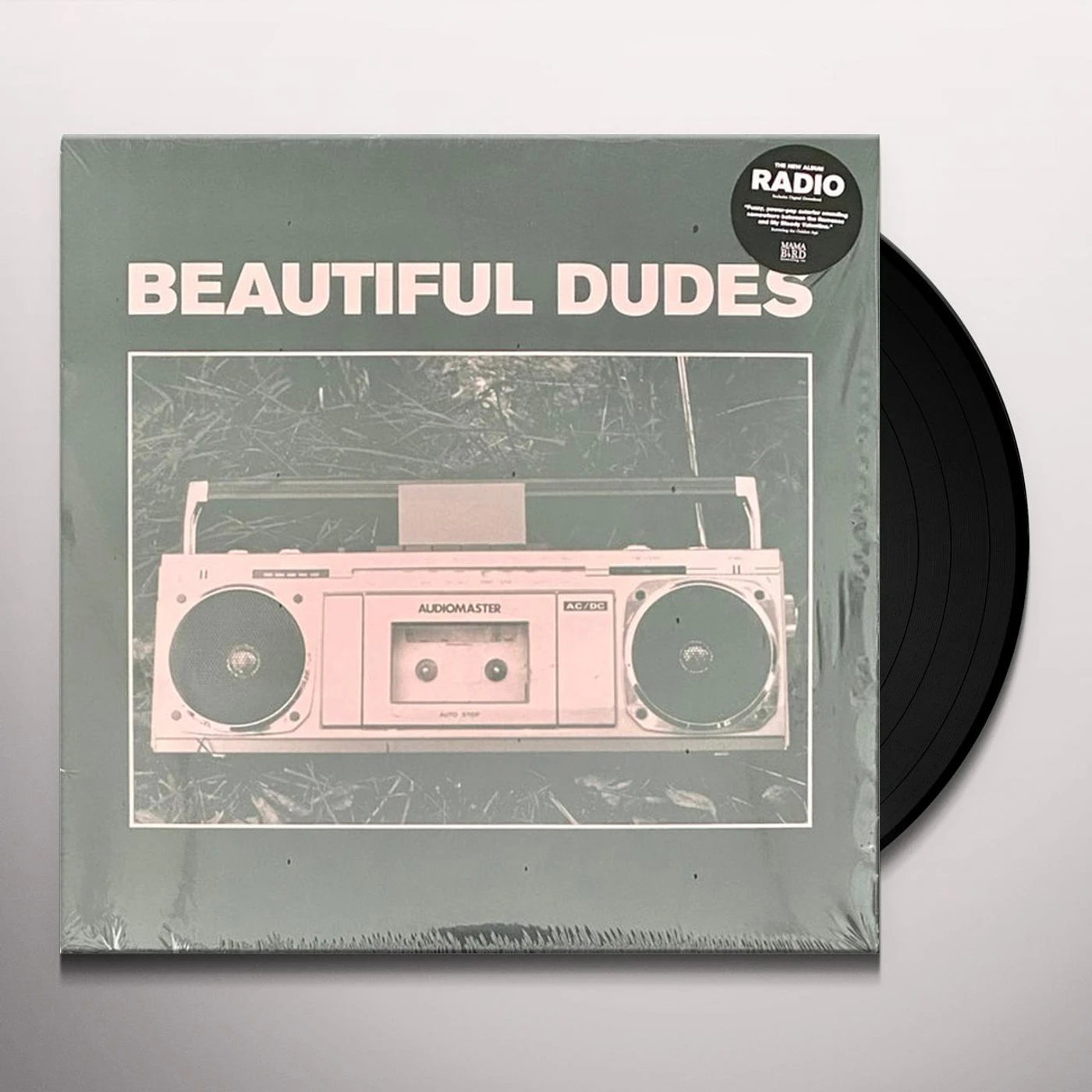 Beautiful Dudes Radio Vinyl Record