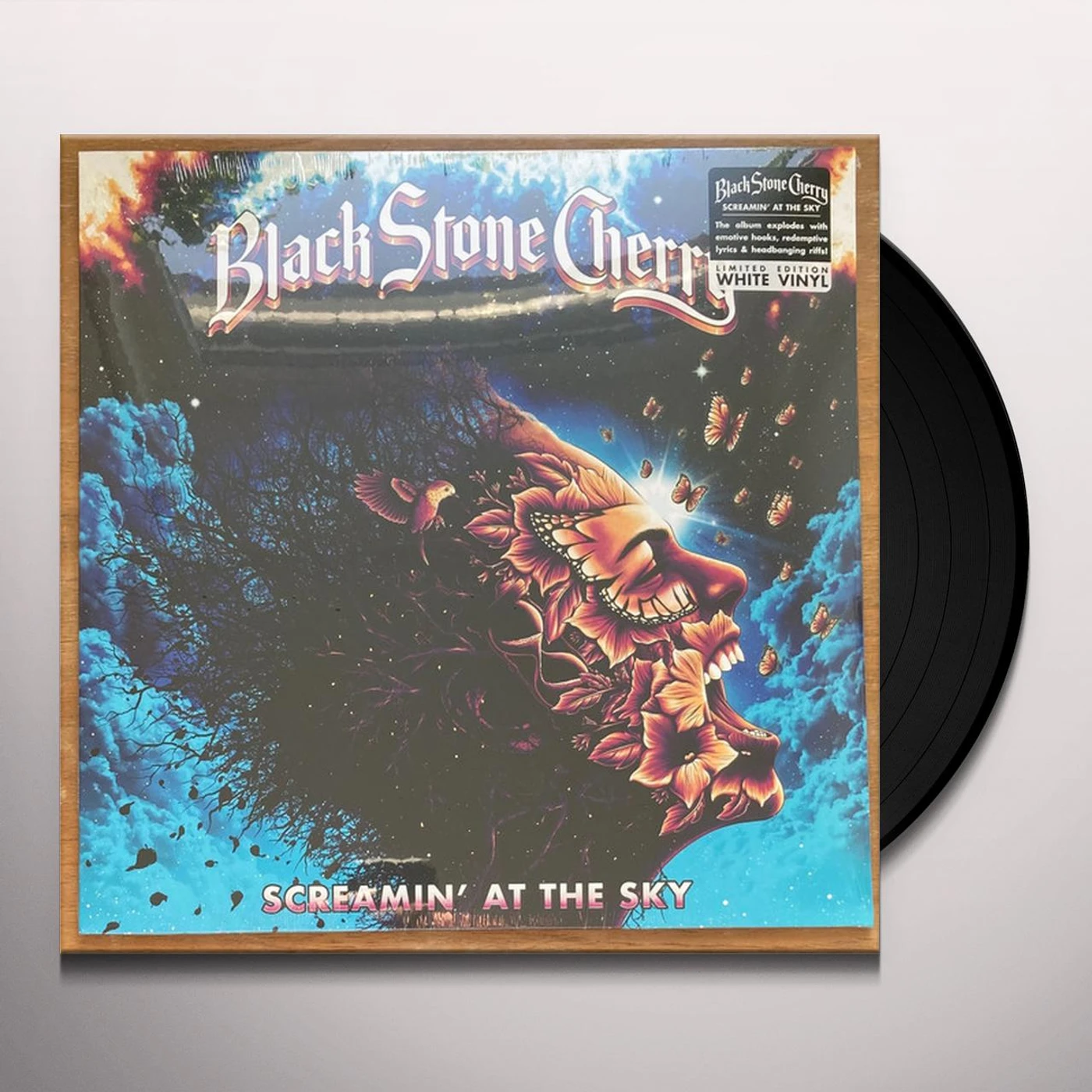 Black Stone Cherry SCREAMIN' AT THE SKY Vinyl Record