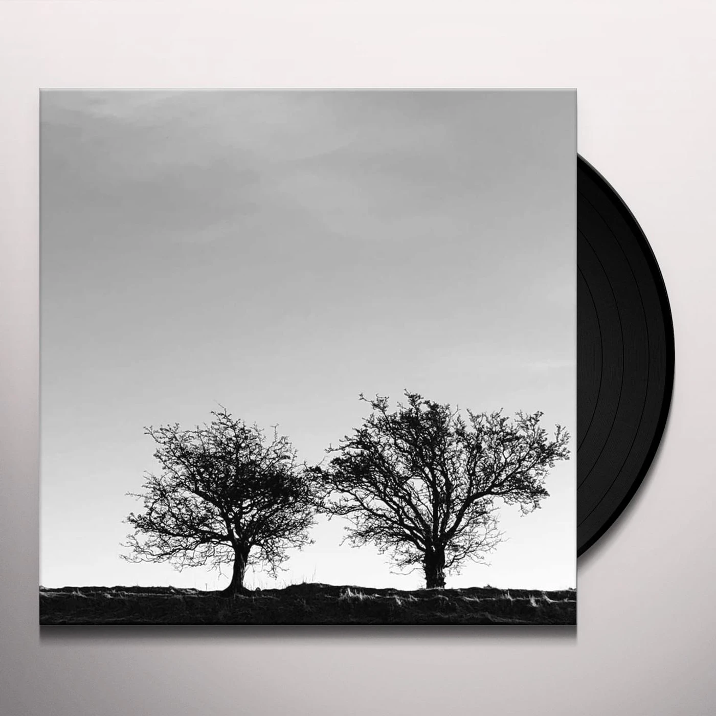 Jon Allen HEIGHTENED SENSE OF EVERYTHING Vinyl Record