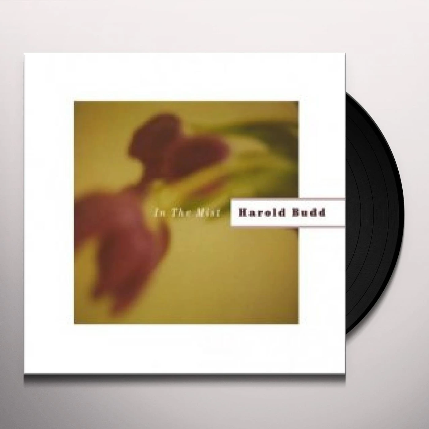 Harold Budd In The Mist Vinyl Record
