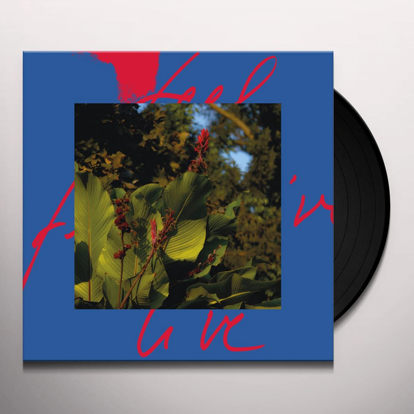 Massimiliano Pagliara Feel Live Vinyl Record