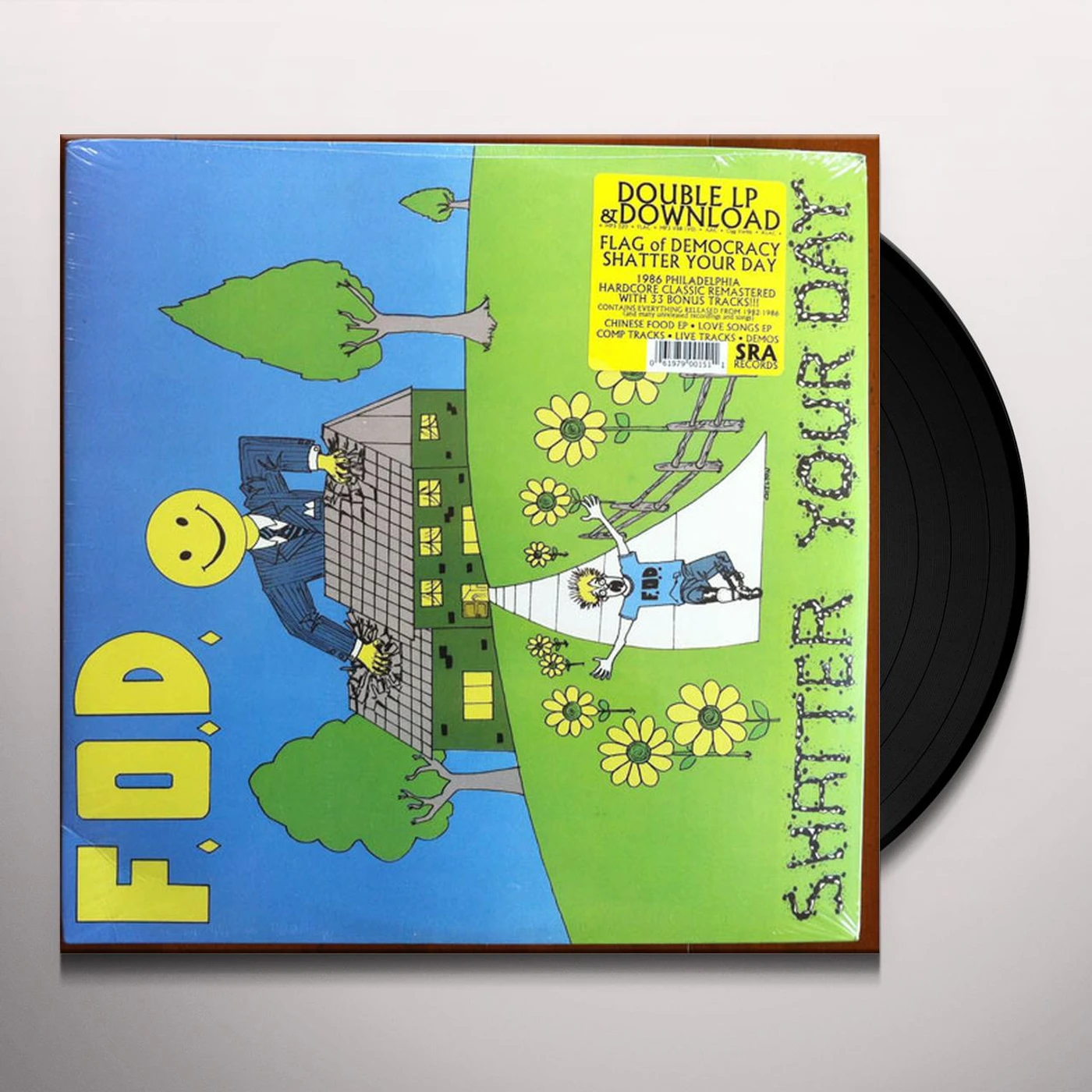 Flag Of Democracy Shatter Your Day Vinyl Record