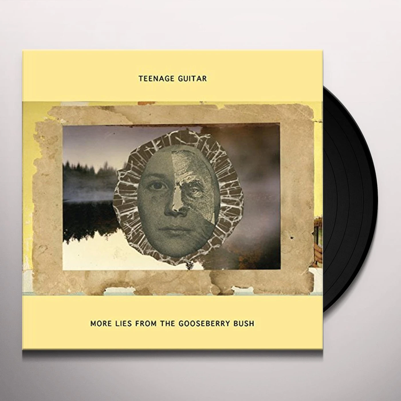Teenage Guitar MORE LIES FROM THE GOOSEBERRY BUSH Vinyl Record