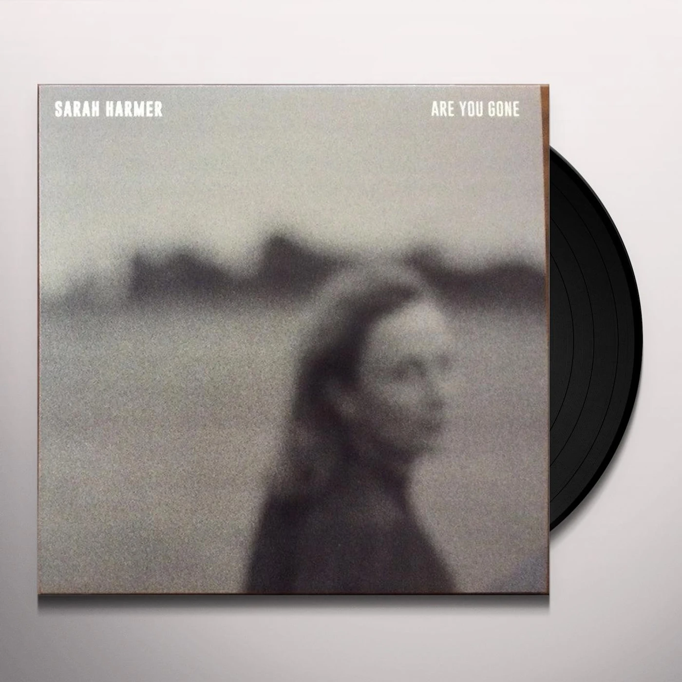 Sarah Harmer Are You Gone Vinyl Record
