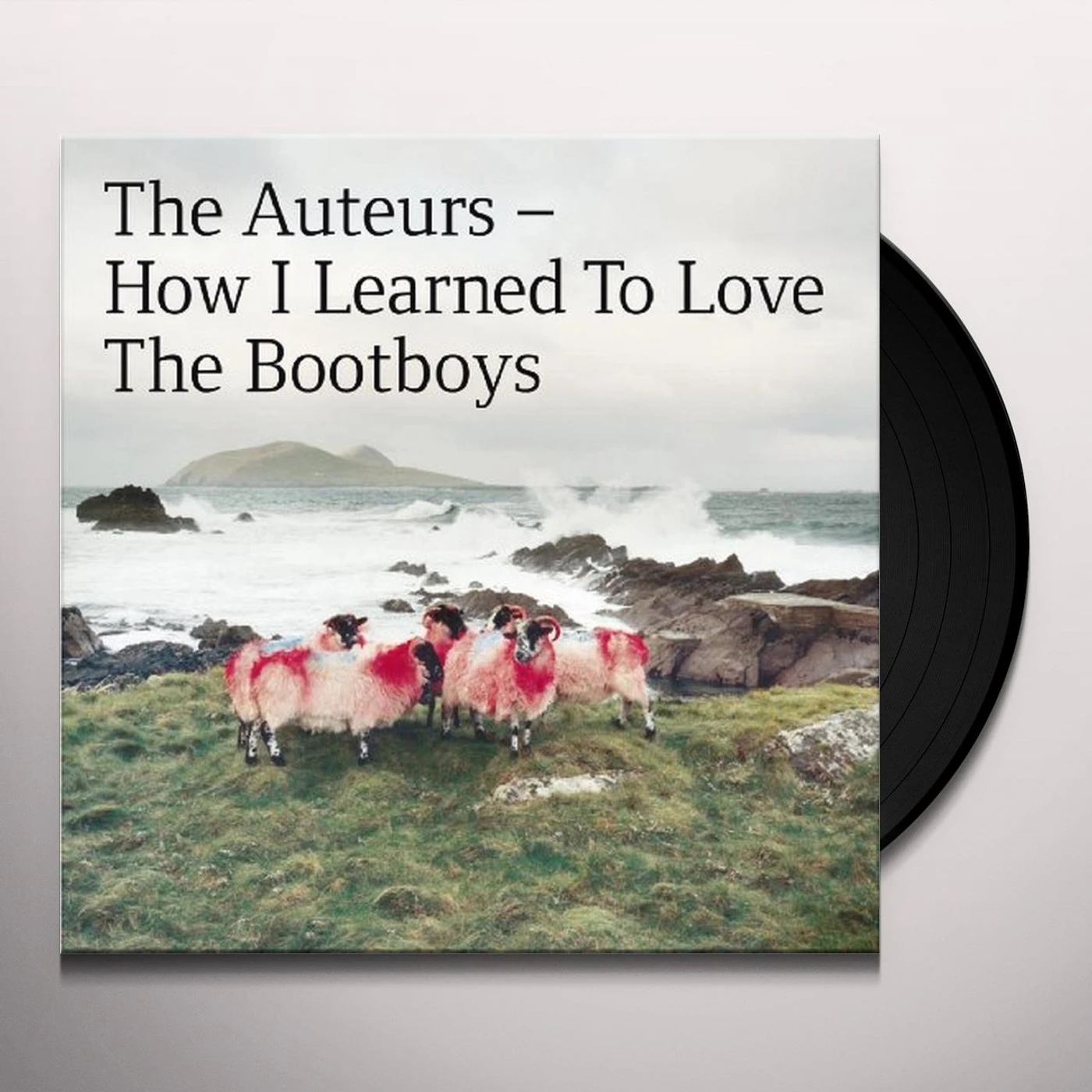 The Auteurs How I Learned To Love The Bootboys Vinyl Record