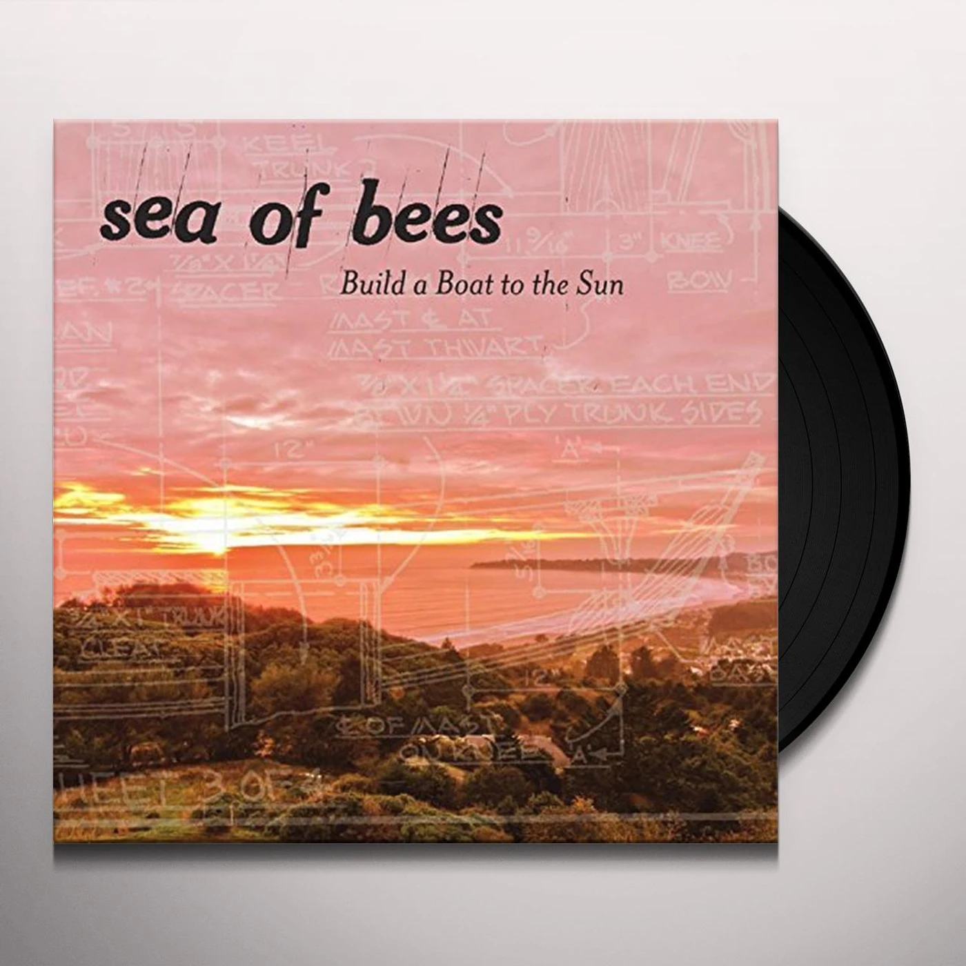 Sea Of Bees Build a Boat to the Sun Vinyl Record