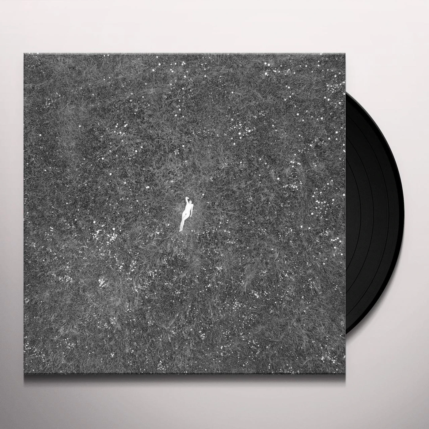 Birds Of Passage LAST OF GARDEN Vinyl Record