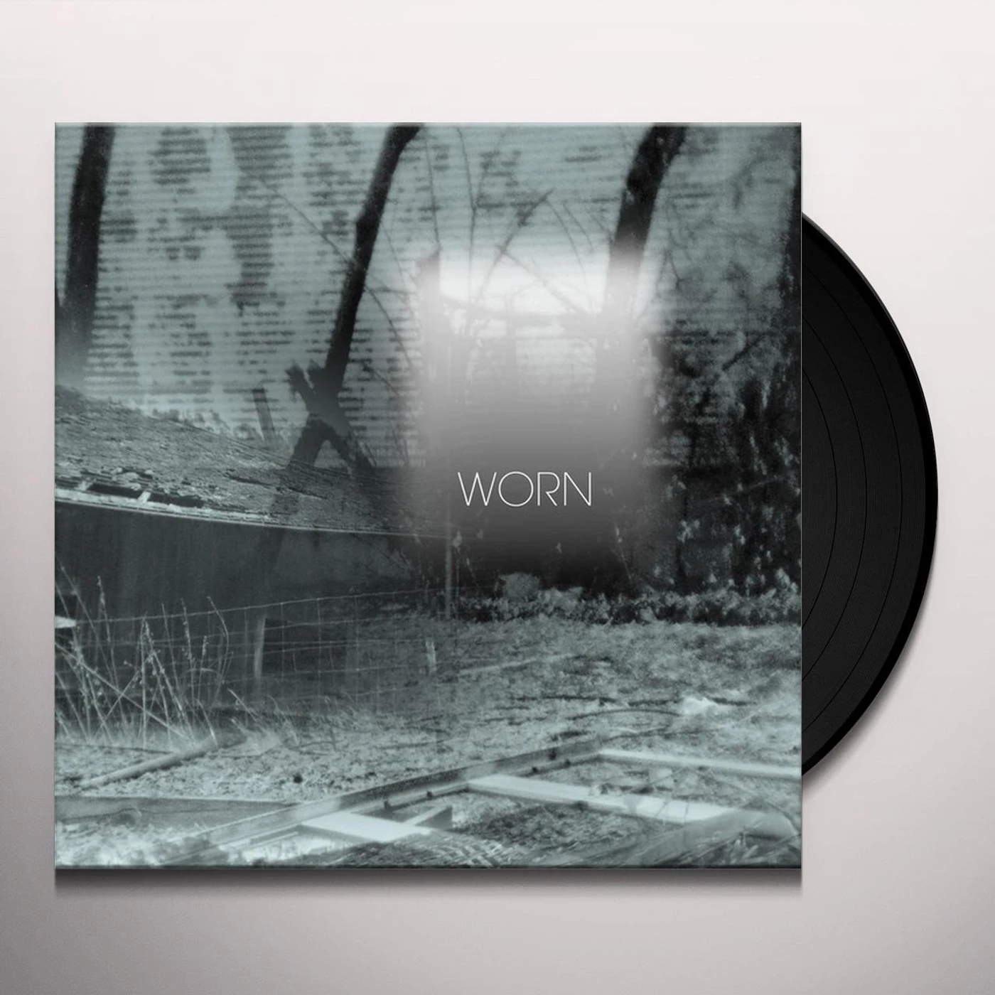 Common Eider, King Eider Worn Vinyl Record
