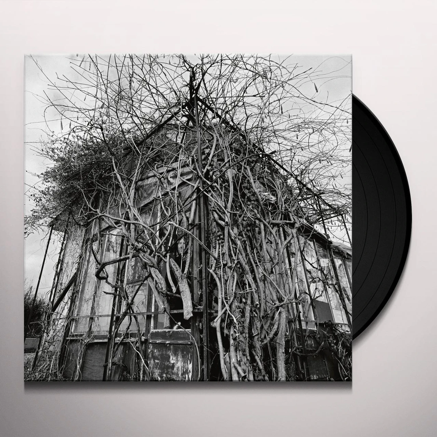 Impure Wilhelmina DEAD DECADES Vinyl Record