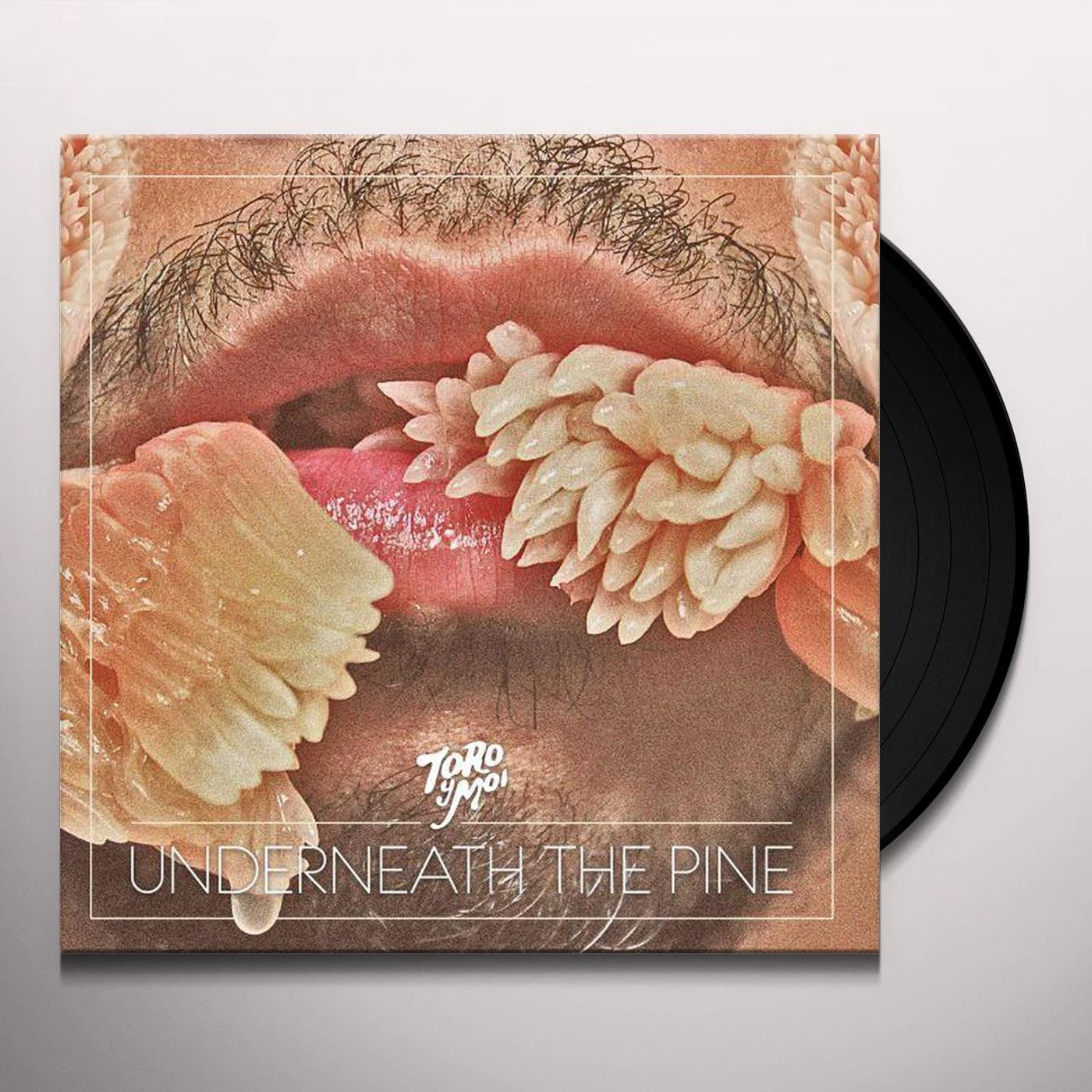 Toro y Moi Underneath The Pine Vinyl Record