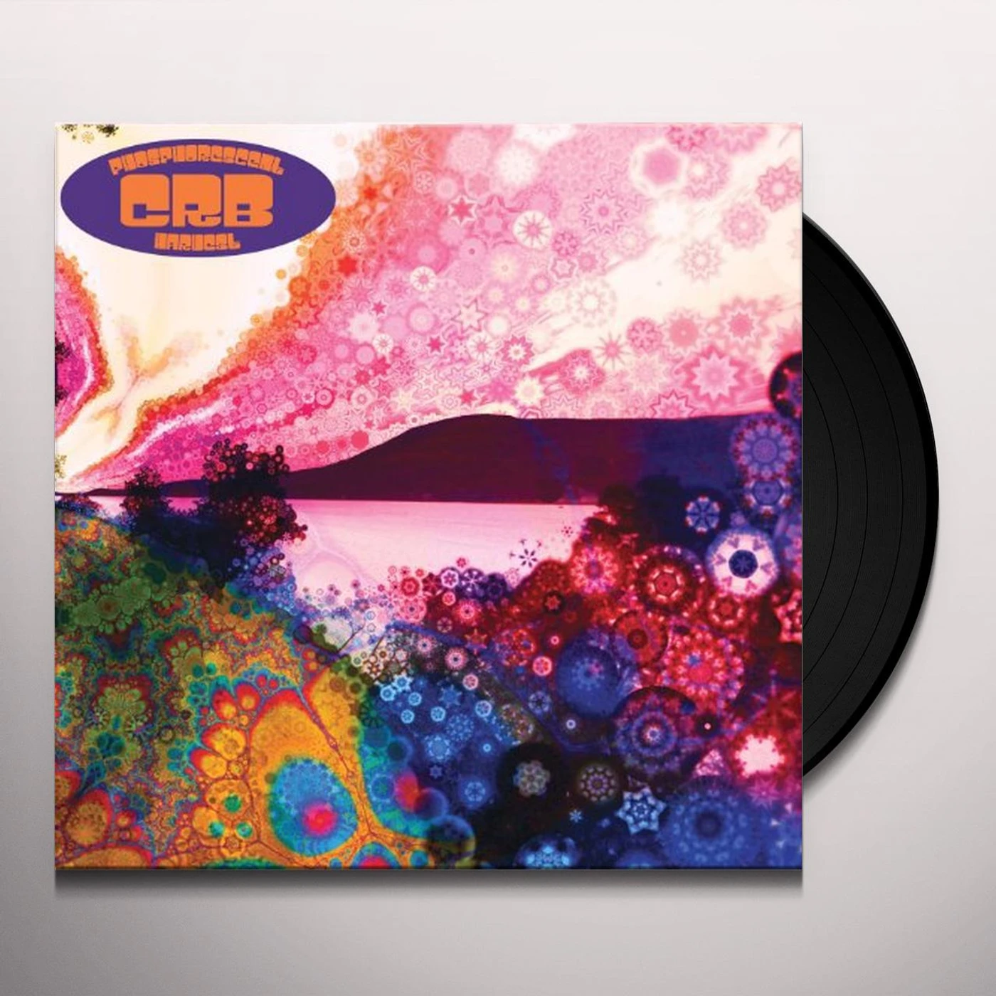 Chris Robinson Phosphorescent Harvest Vinyl Record