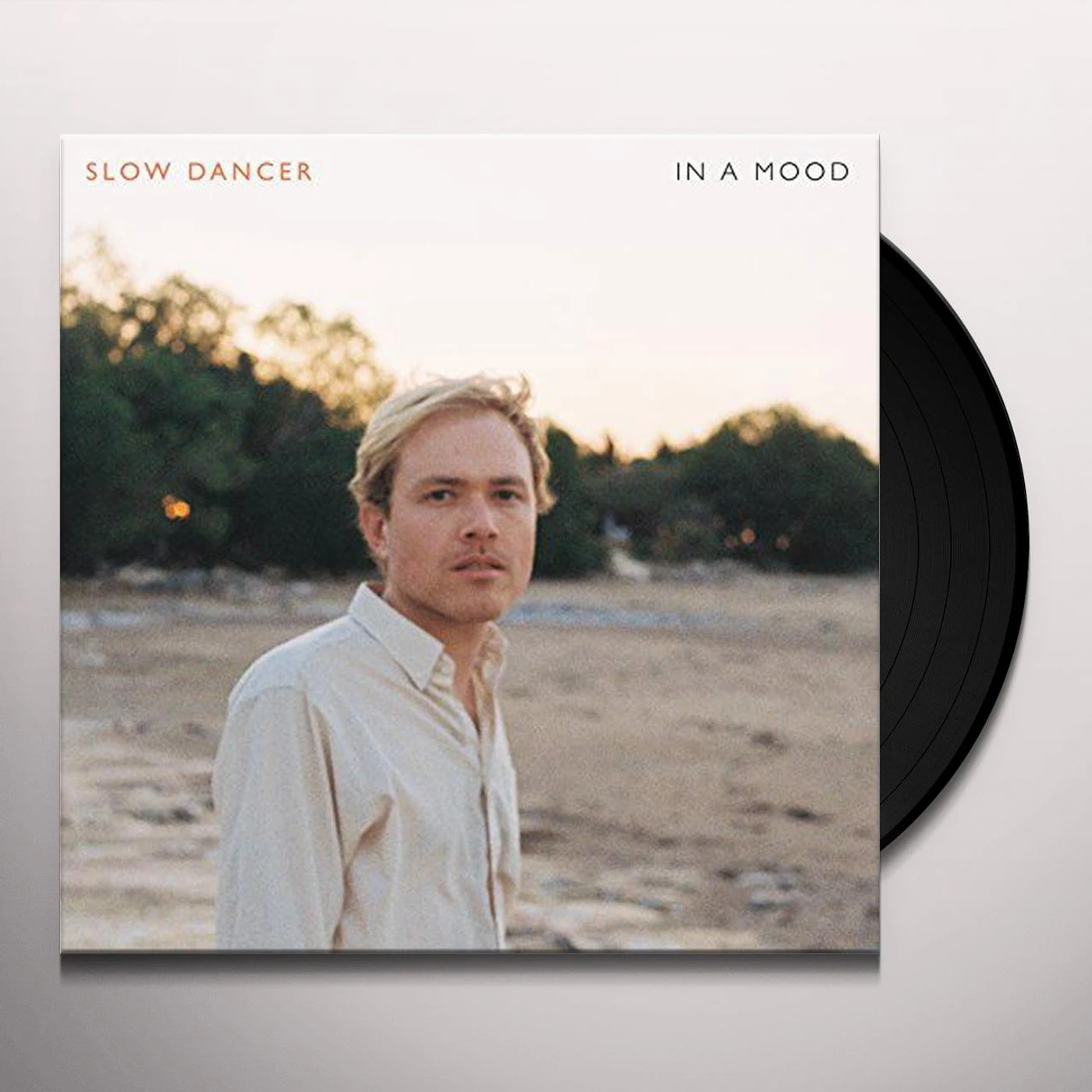 Slow Dancer IN A MOOD Vinyl Record