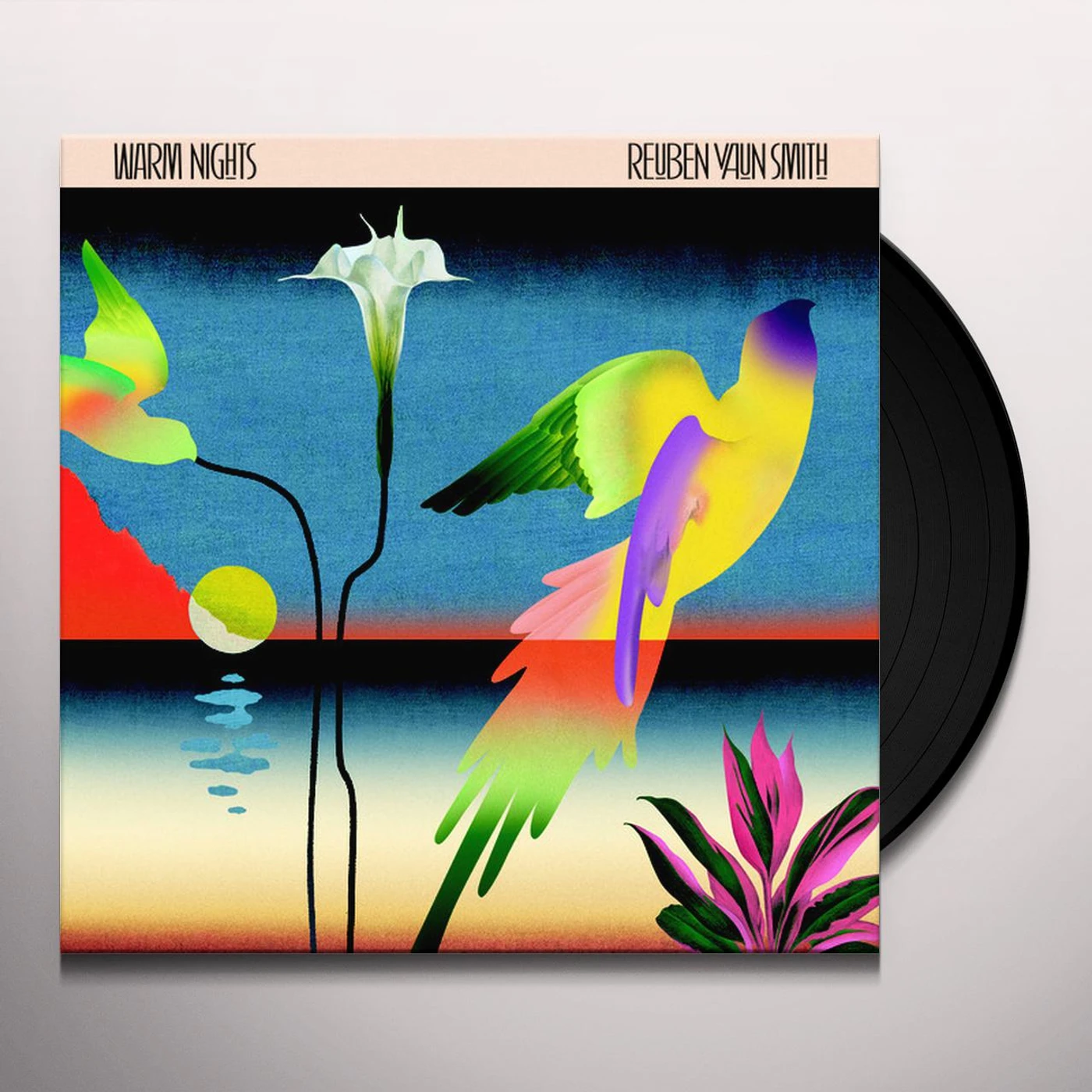 Reuben Vaun Smith Warm Nights Vinyl Record