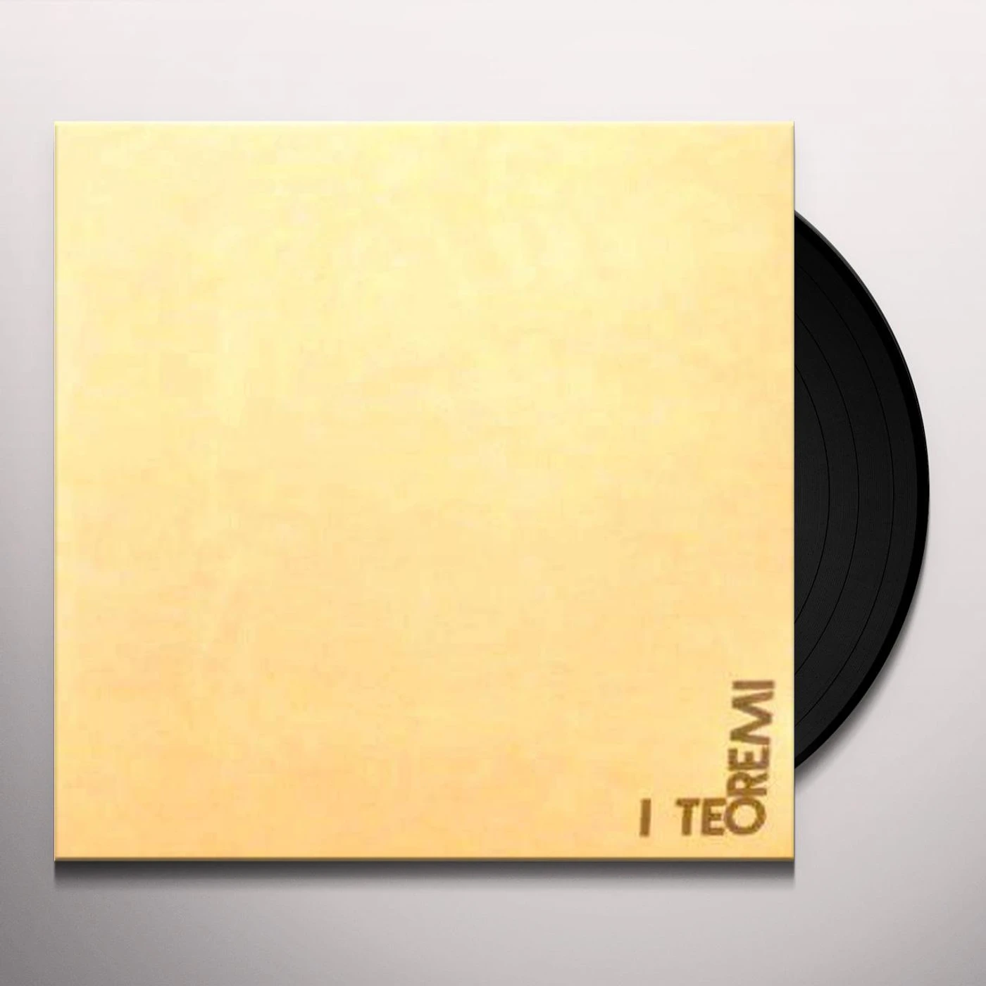 I TEOREMI Vinyl Record - Holland Release