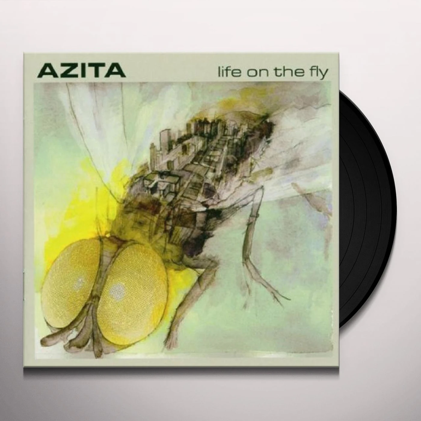 AZITA Life On The Fly Vinyl Record