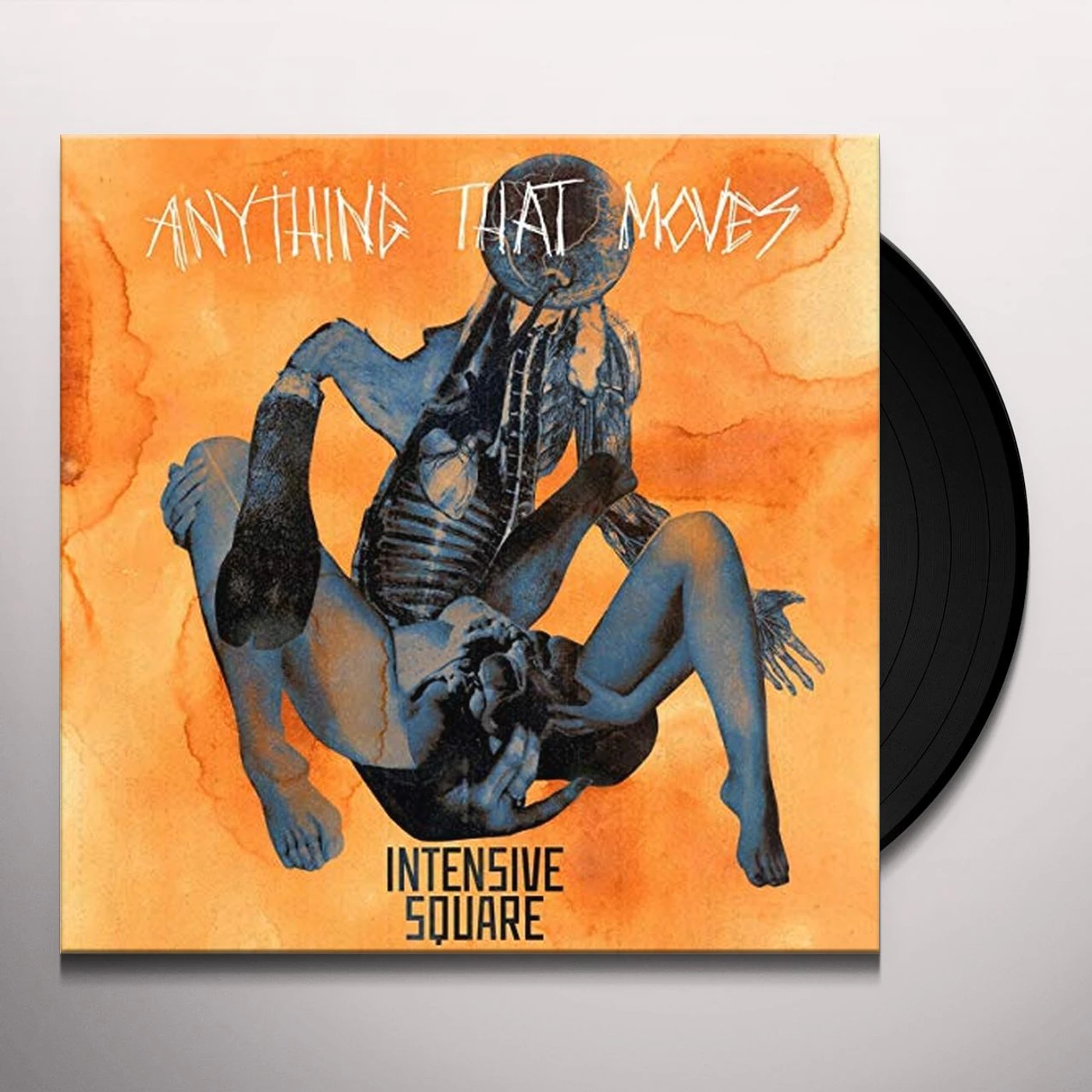 Intensive Square Anything That Moves Vinyl Record